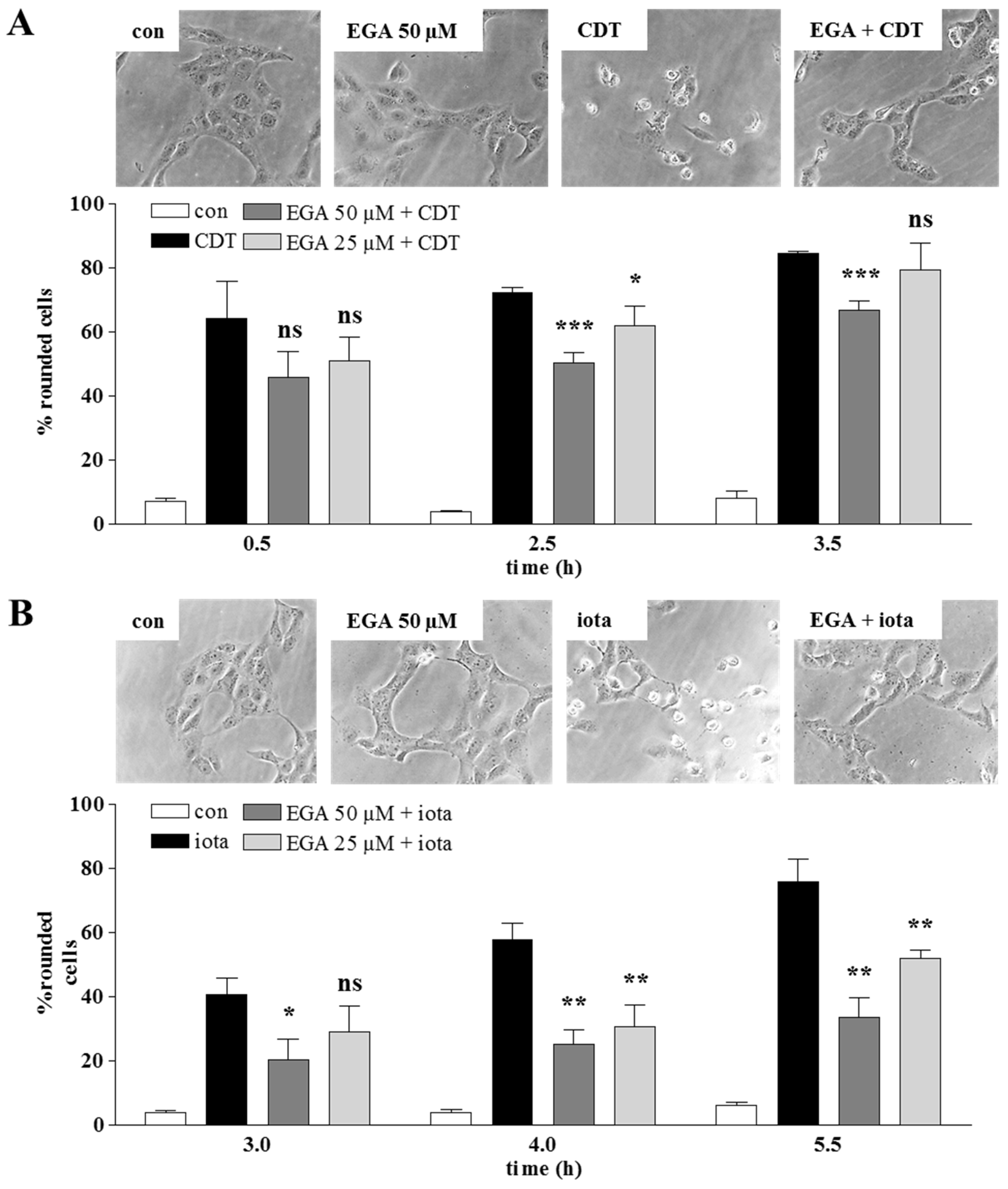 Toxins 08 00101 g001a