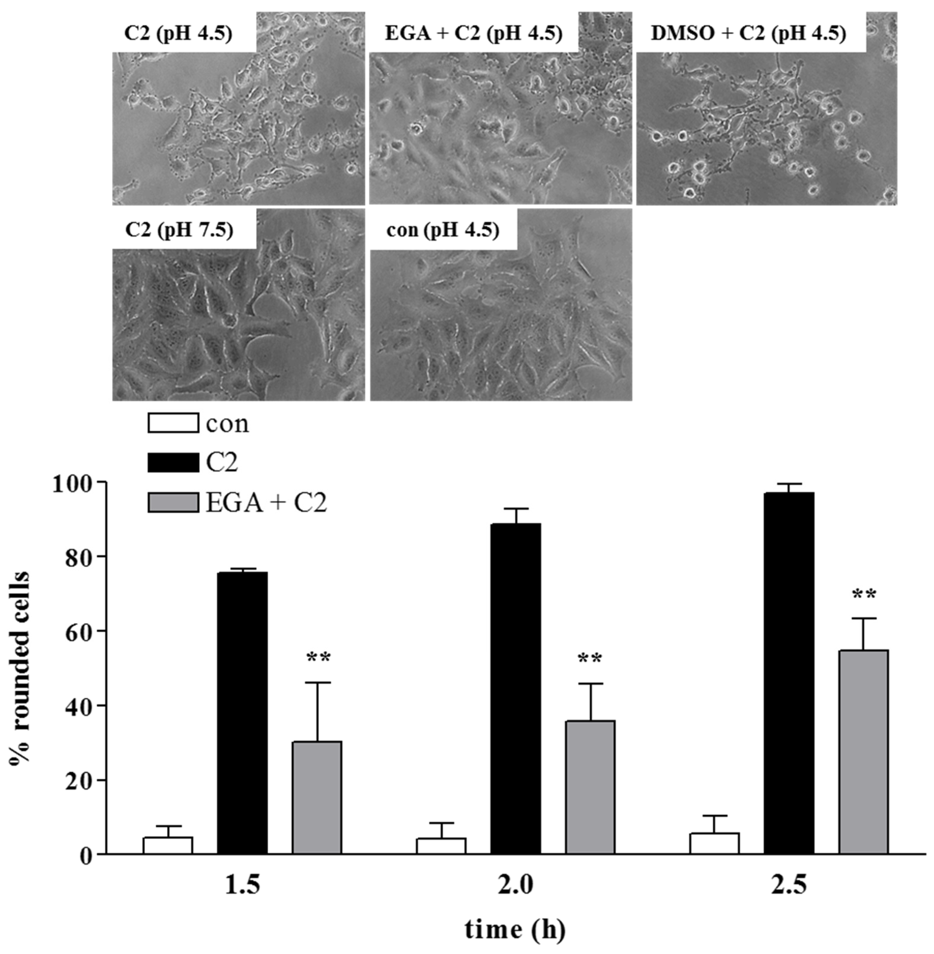Toxins 08 00101 g005