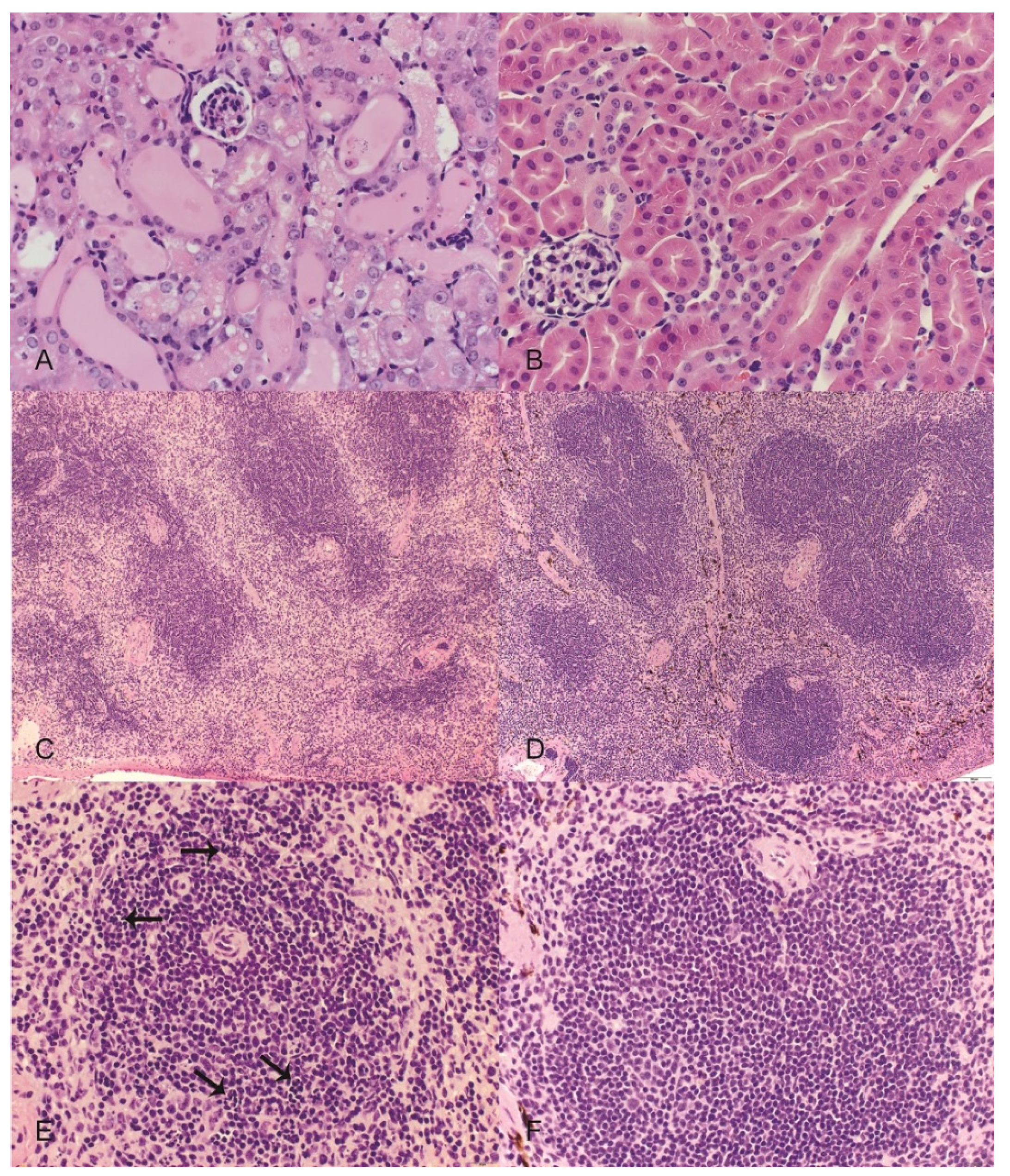 Toxins 08 00158 g003