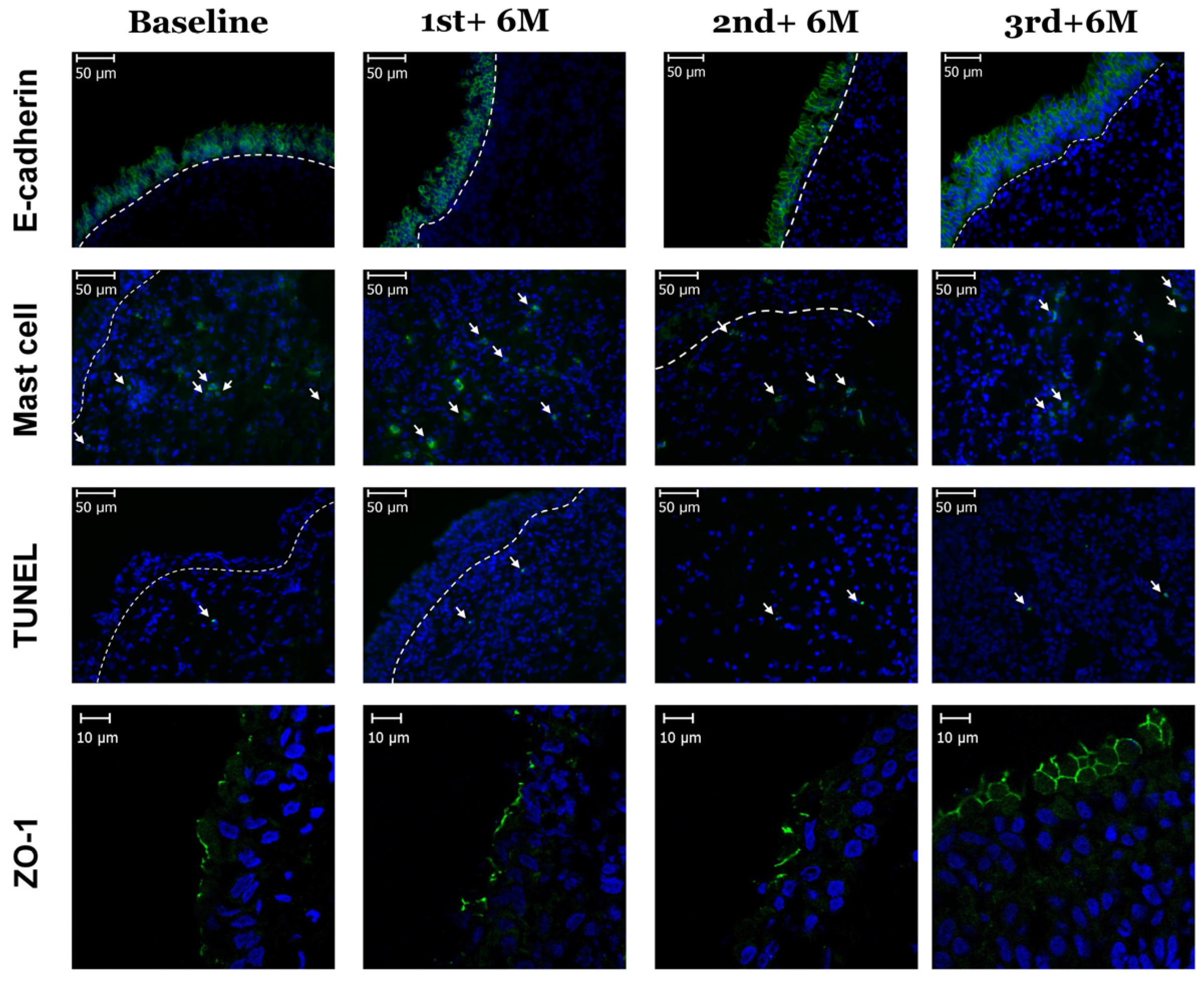 Toxins 08 00164 g001