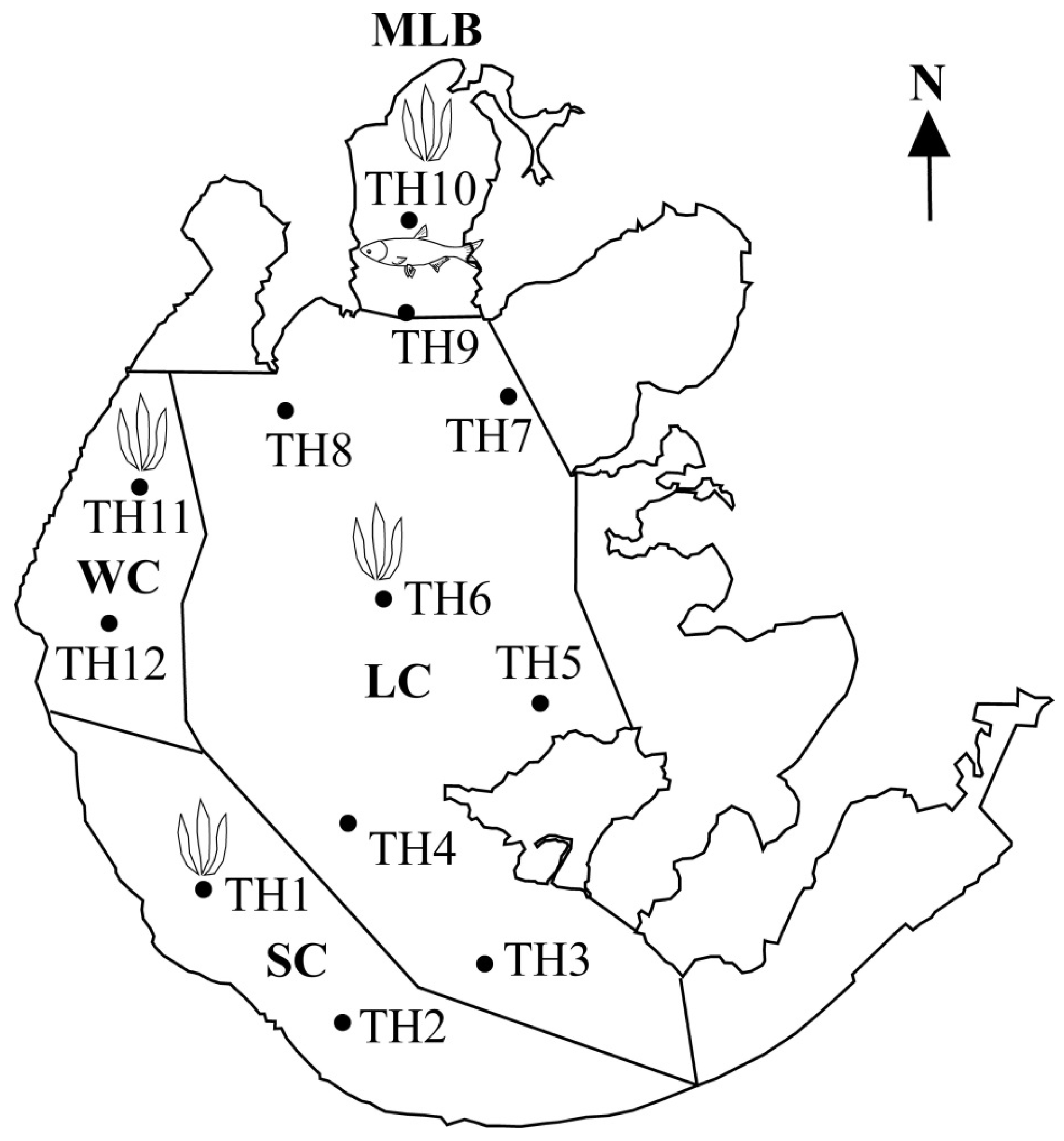 Toxins 08 00170 g005