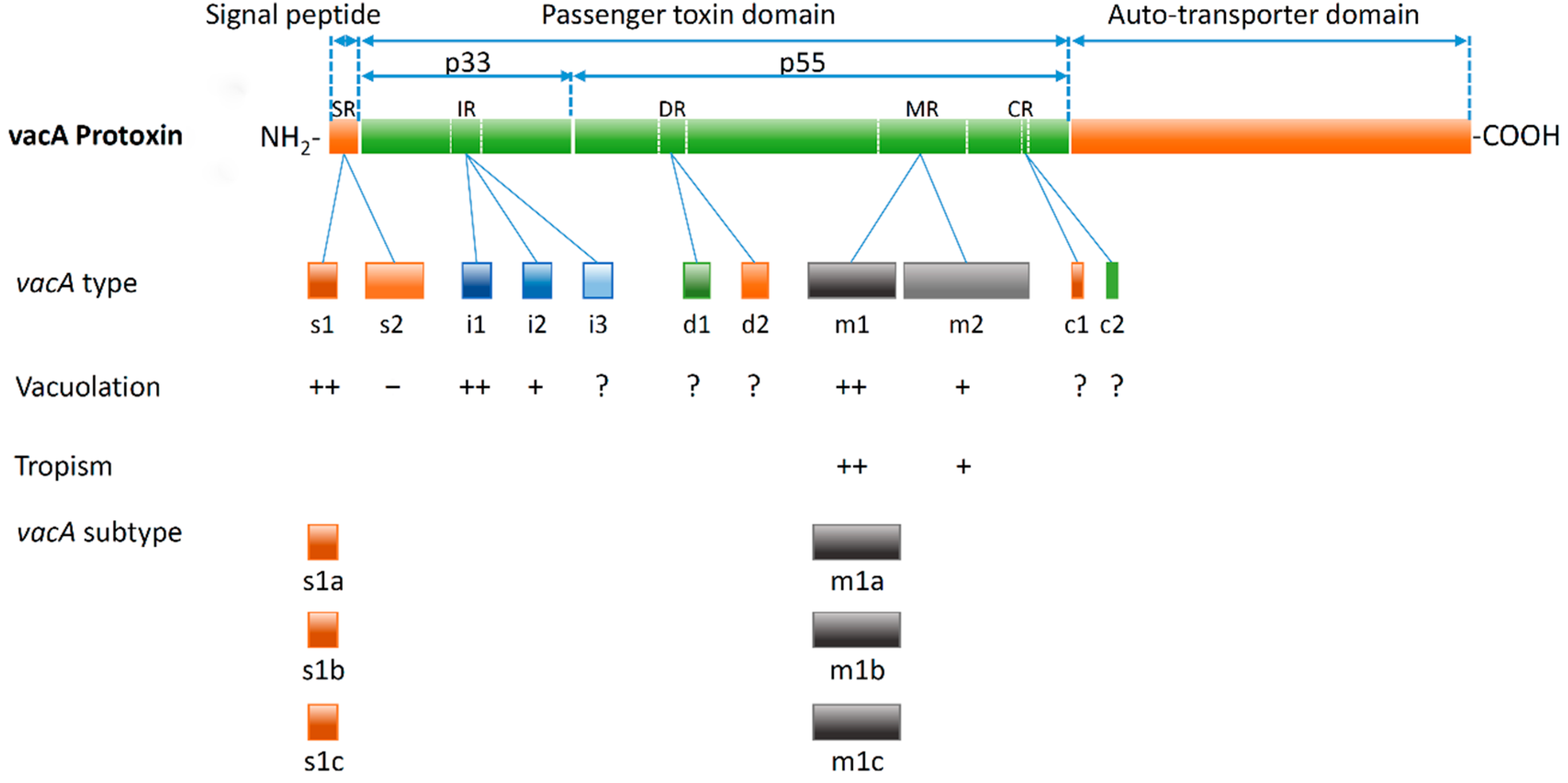 Toxins 08 00182 g001