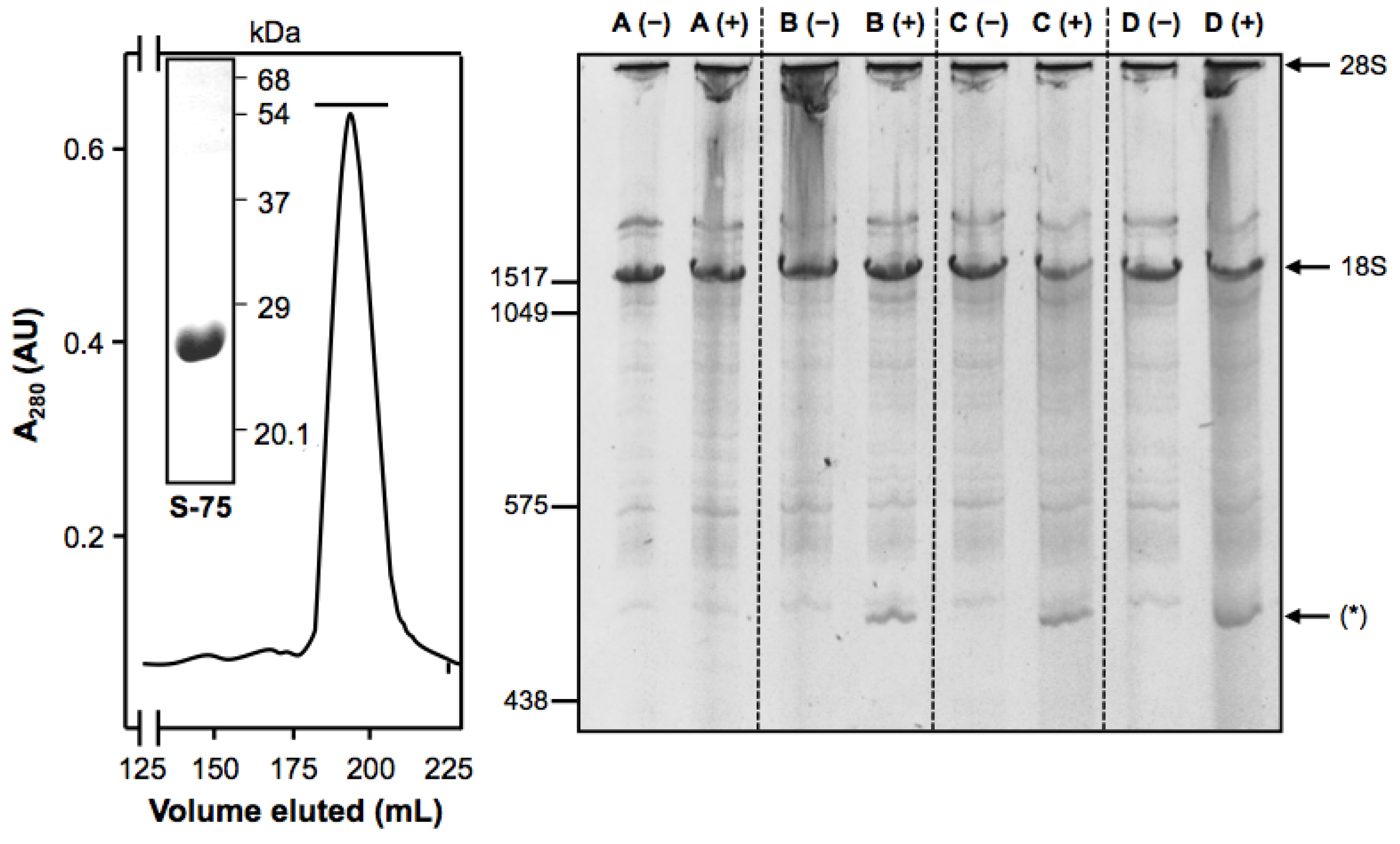 Toxins 08 00184 g001