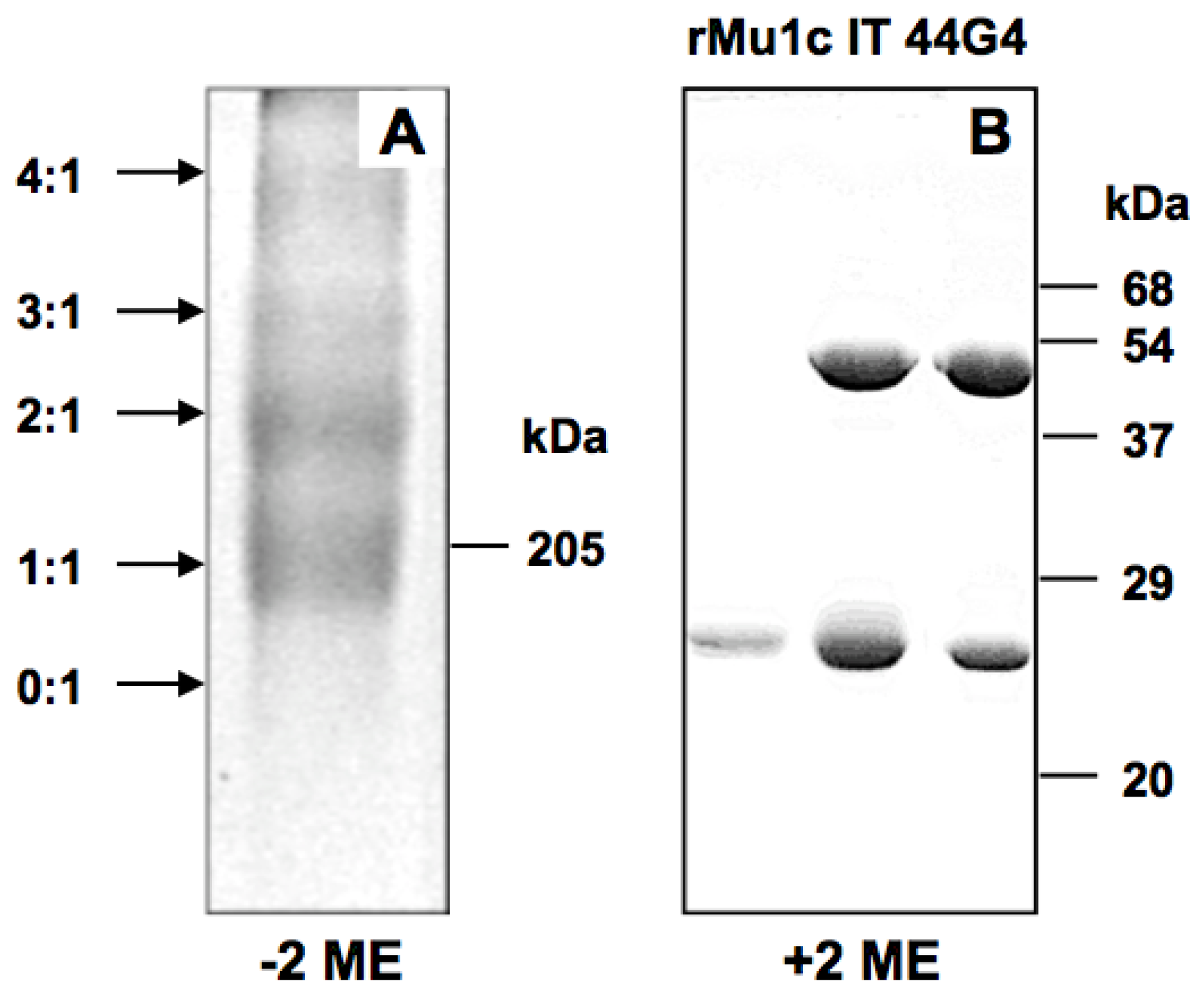 Toxins 08 00184 g003