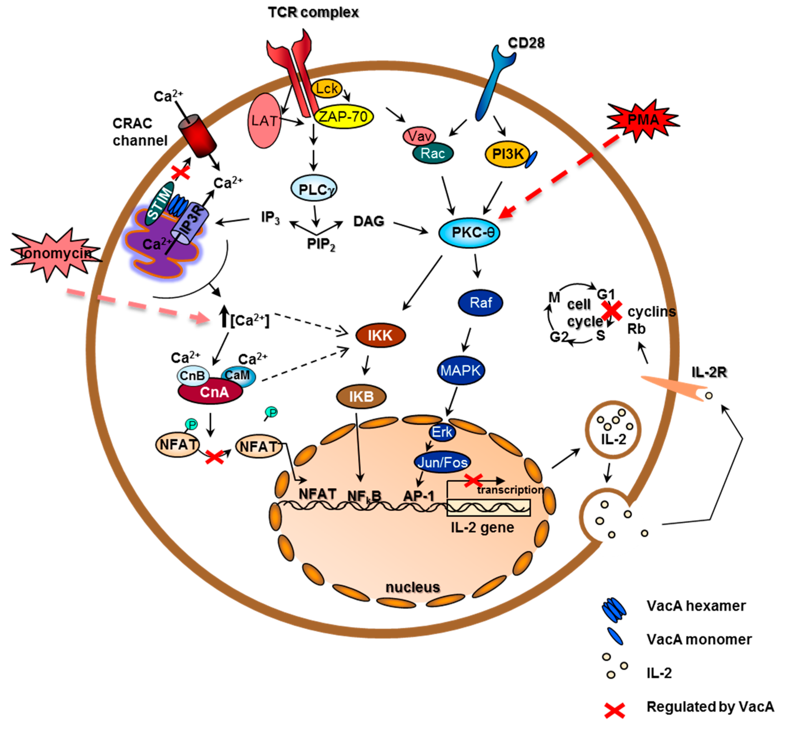 Toxins 08 00190 g002