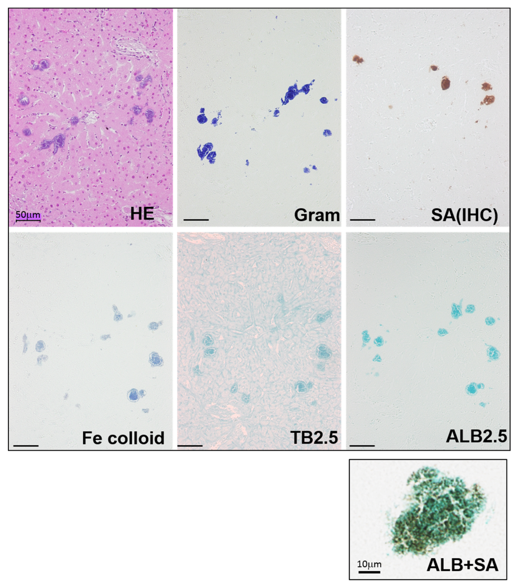 Toxins 08 00198 g001