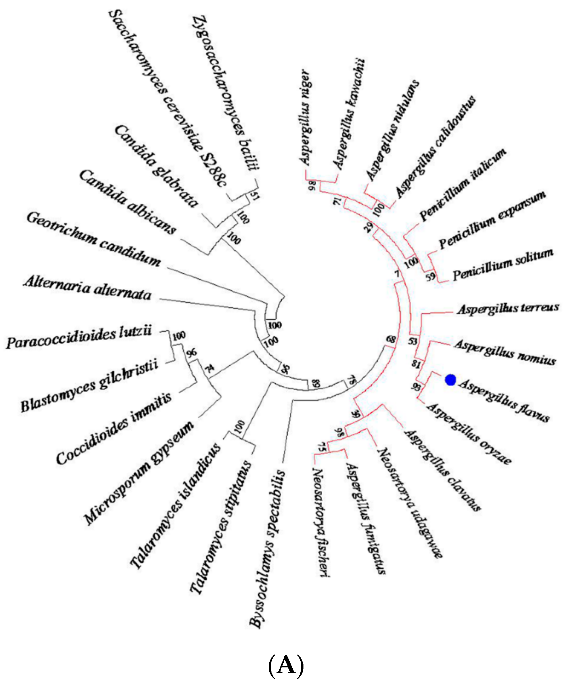 Toxins 08 00202 g001a