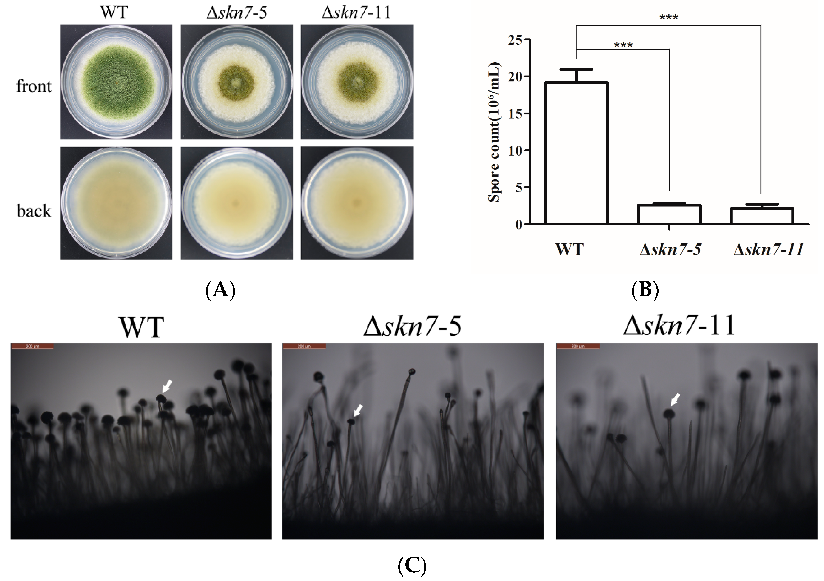 Toxins 08 00202 g003