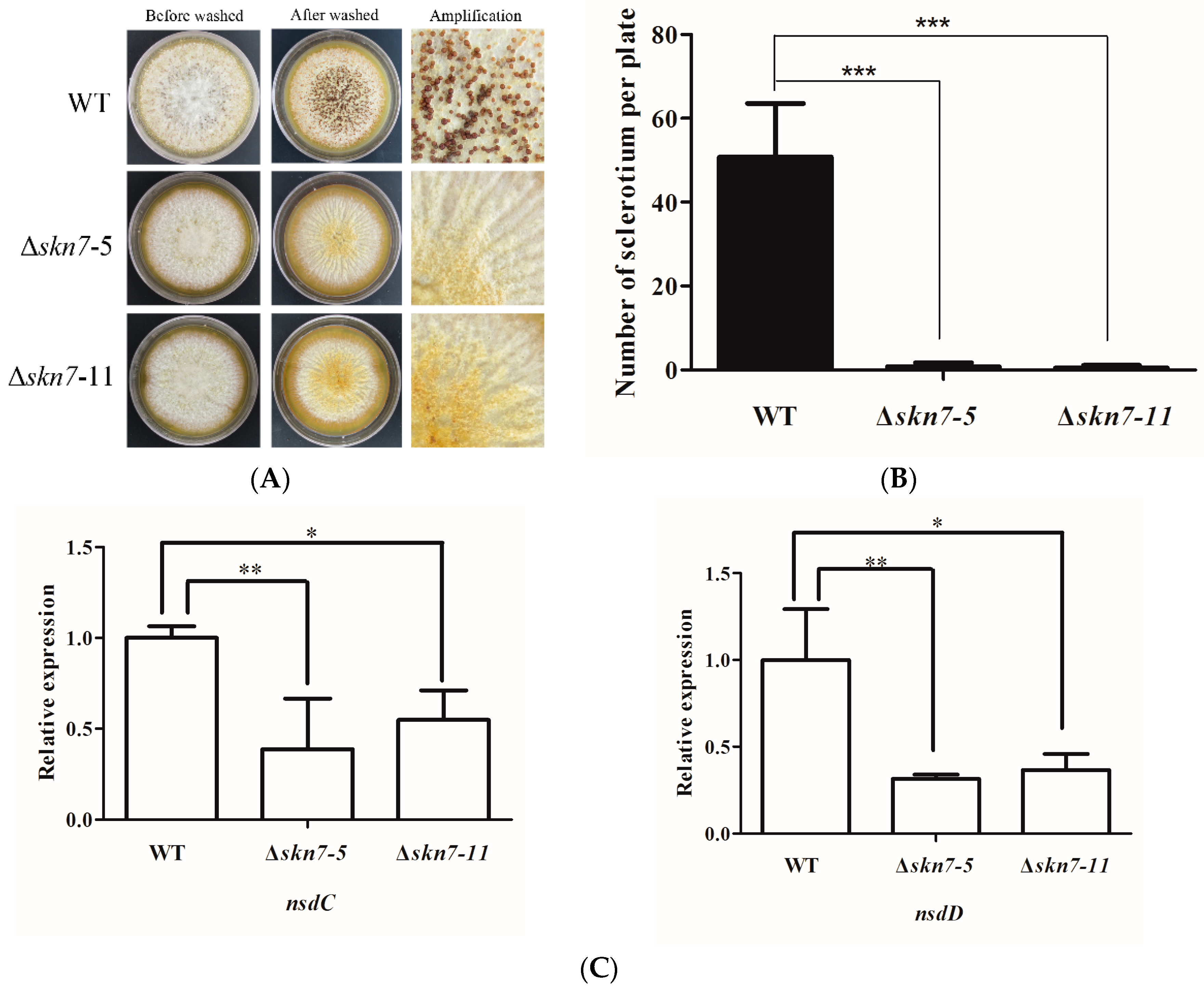 Toxins 08 00202 g004