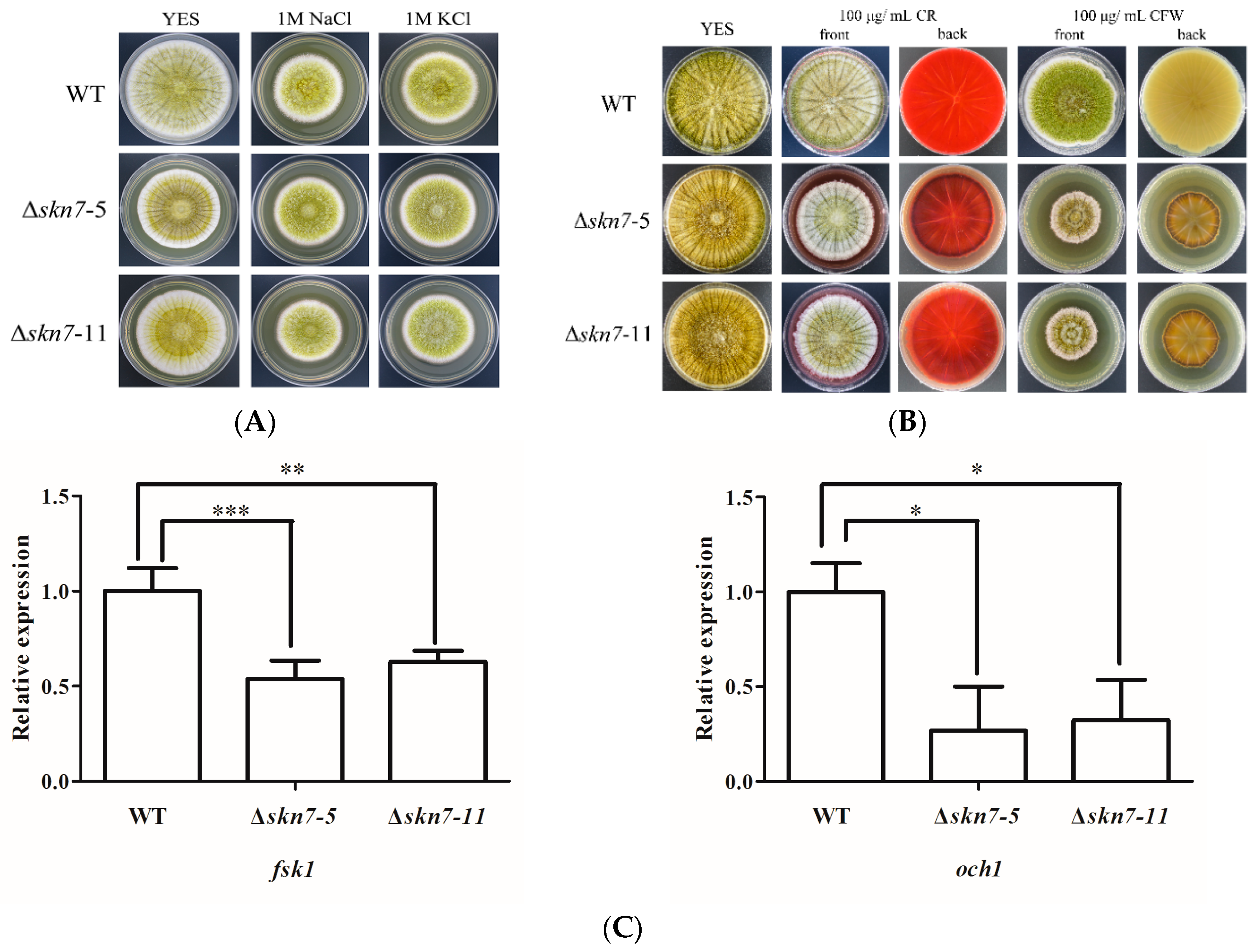 Toxins 08 00202 g005