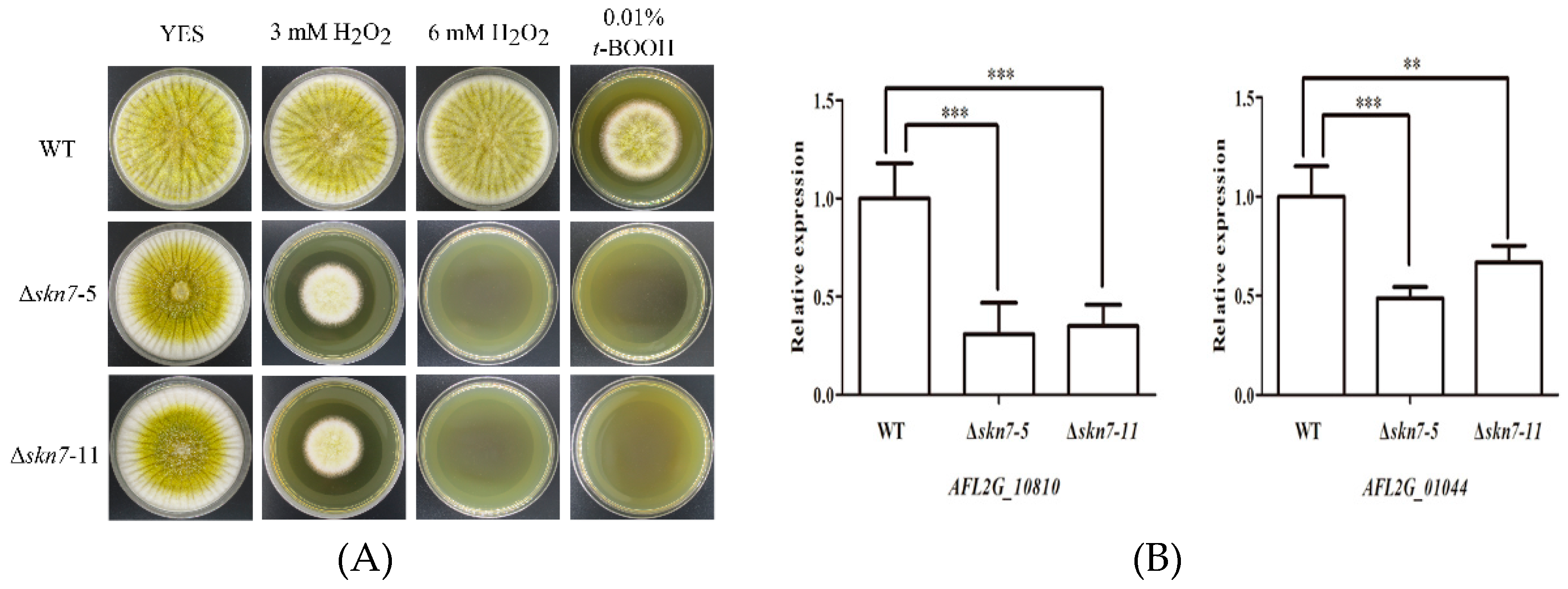 Toxins 08 00202 g006