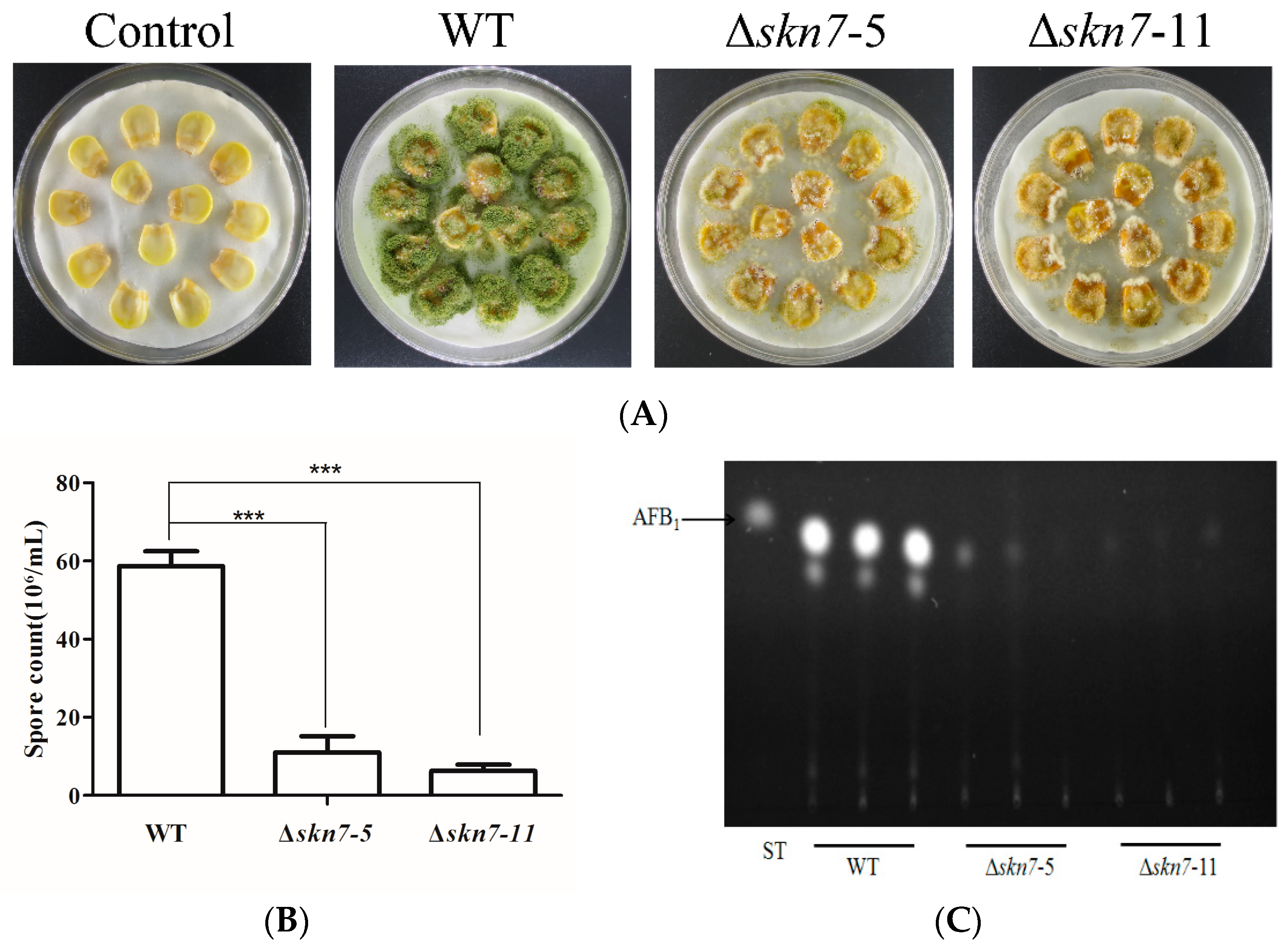 Toxins 08 00202 g008
