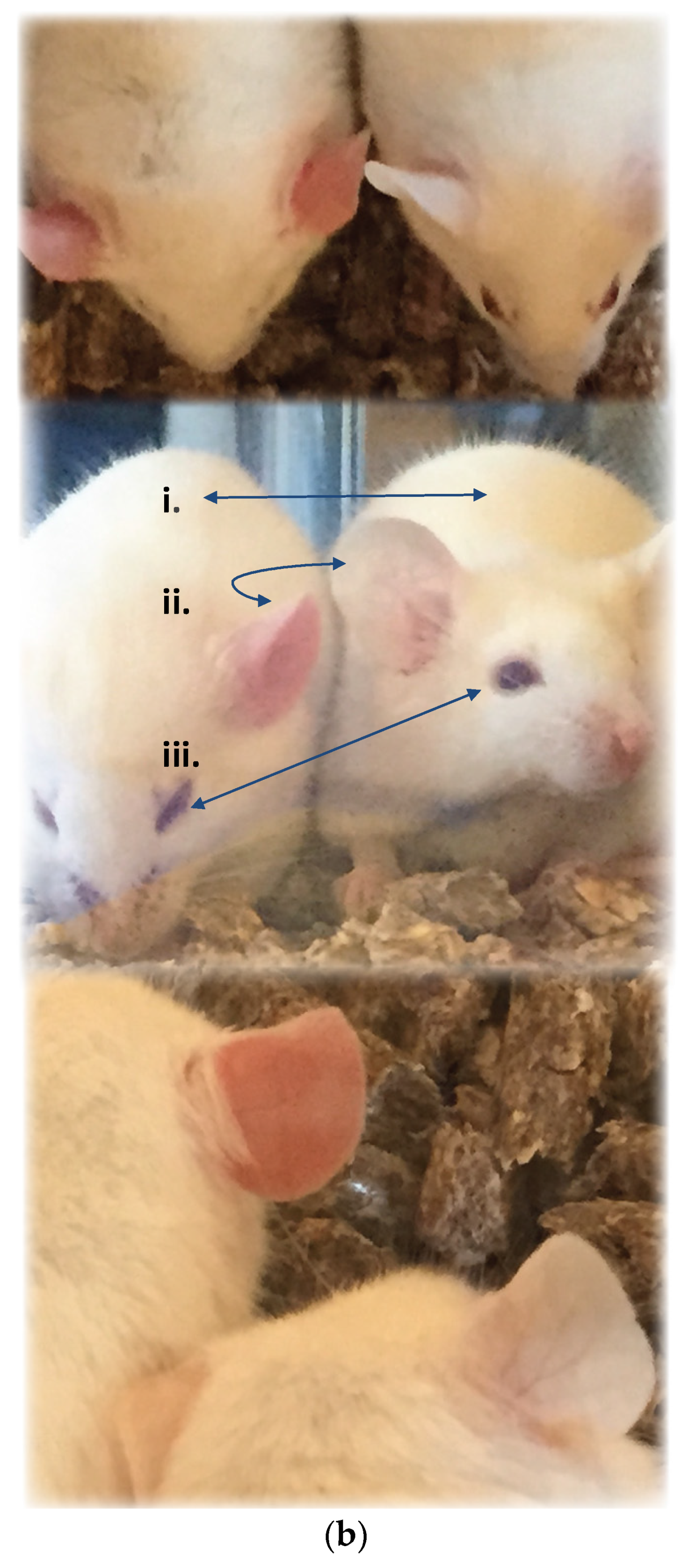 Toxins 08 00248 g002b