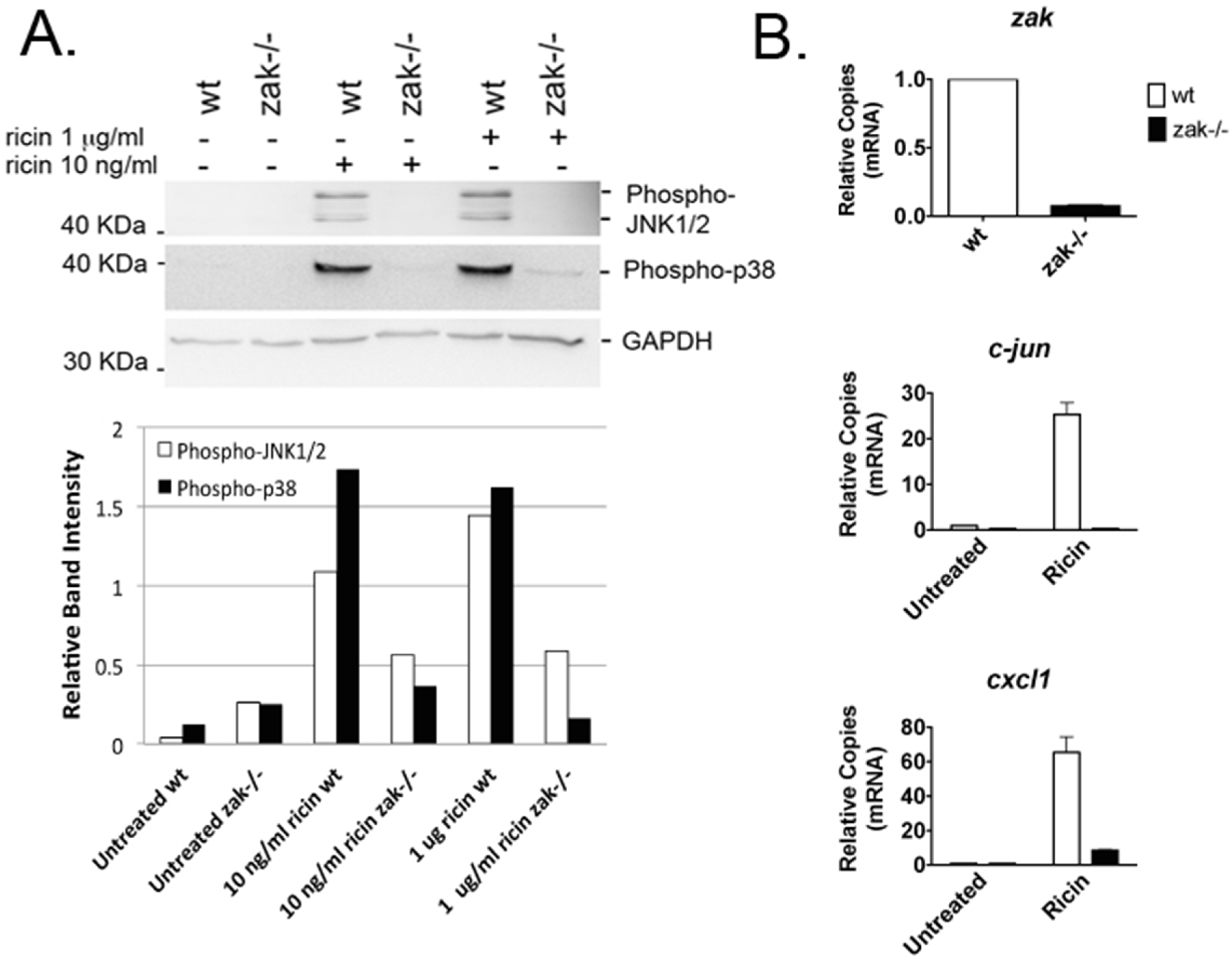 Toxins 08 00259 g001