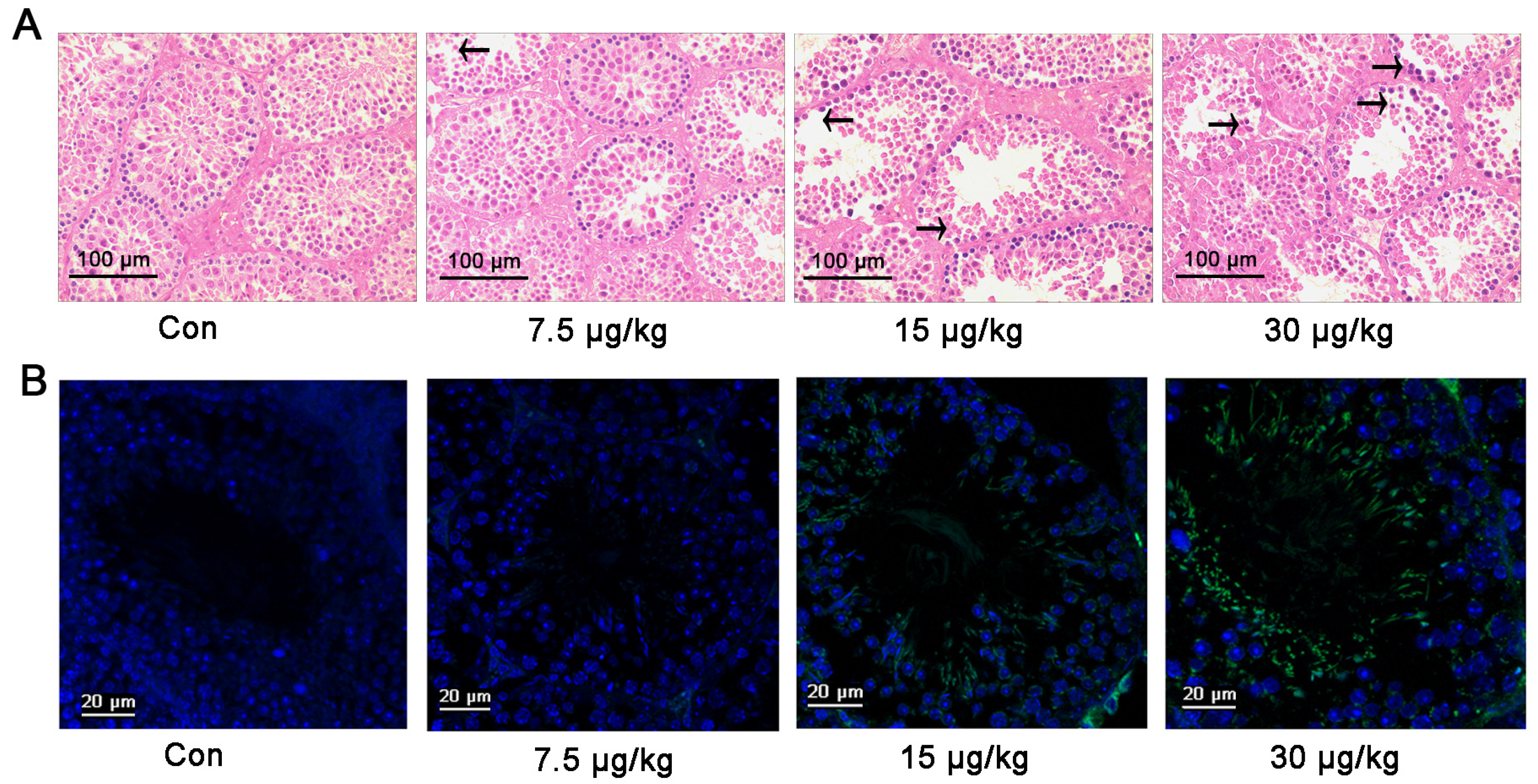 Toxins 08 00260 g003a