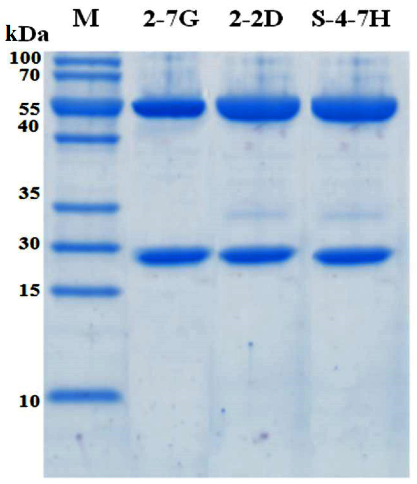 Toxins 08 00266 g003