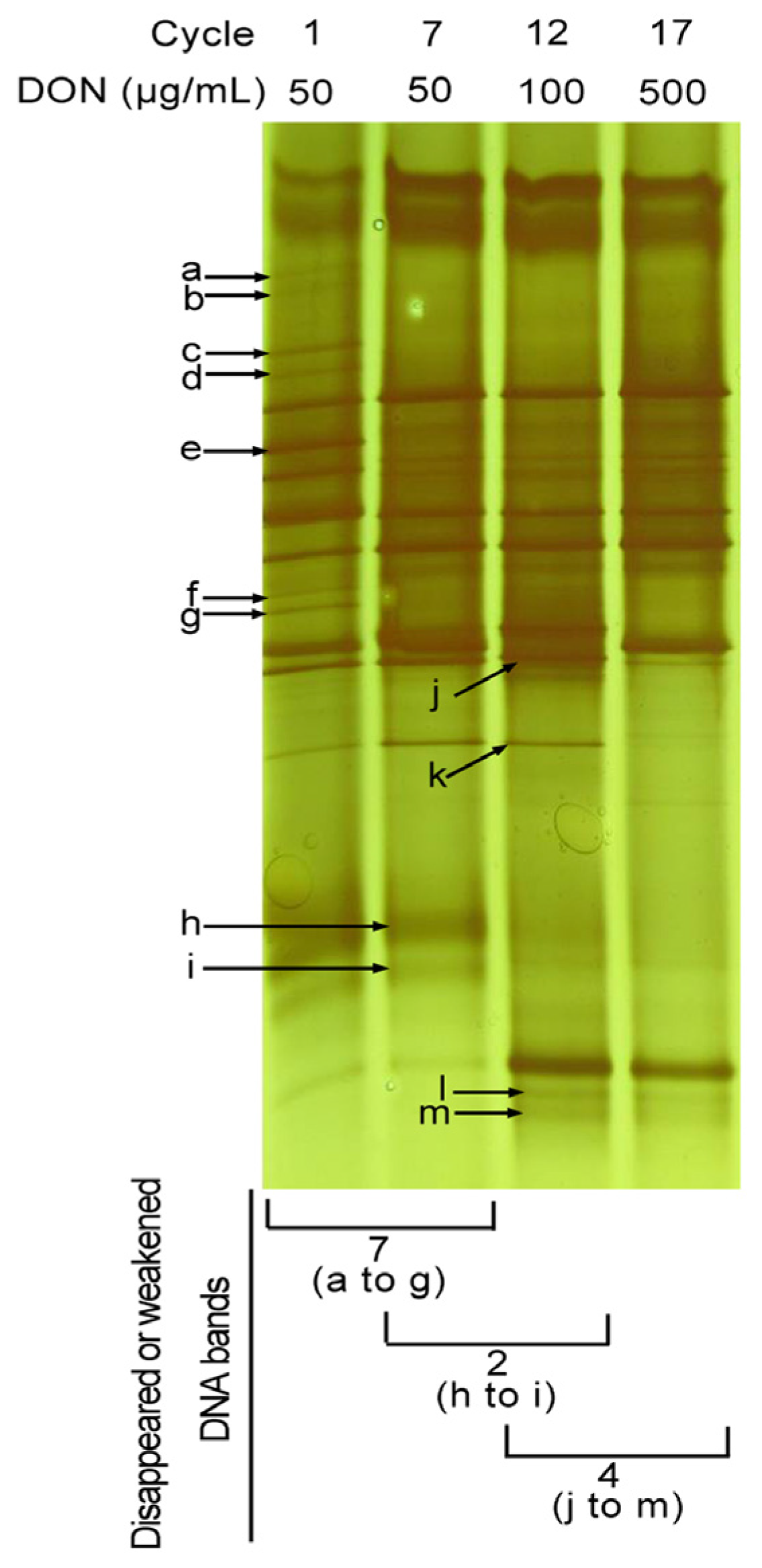 Toxins 08 00277 g005
