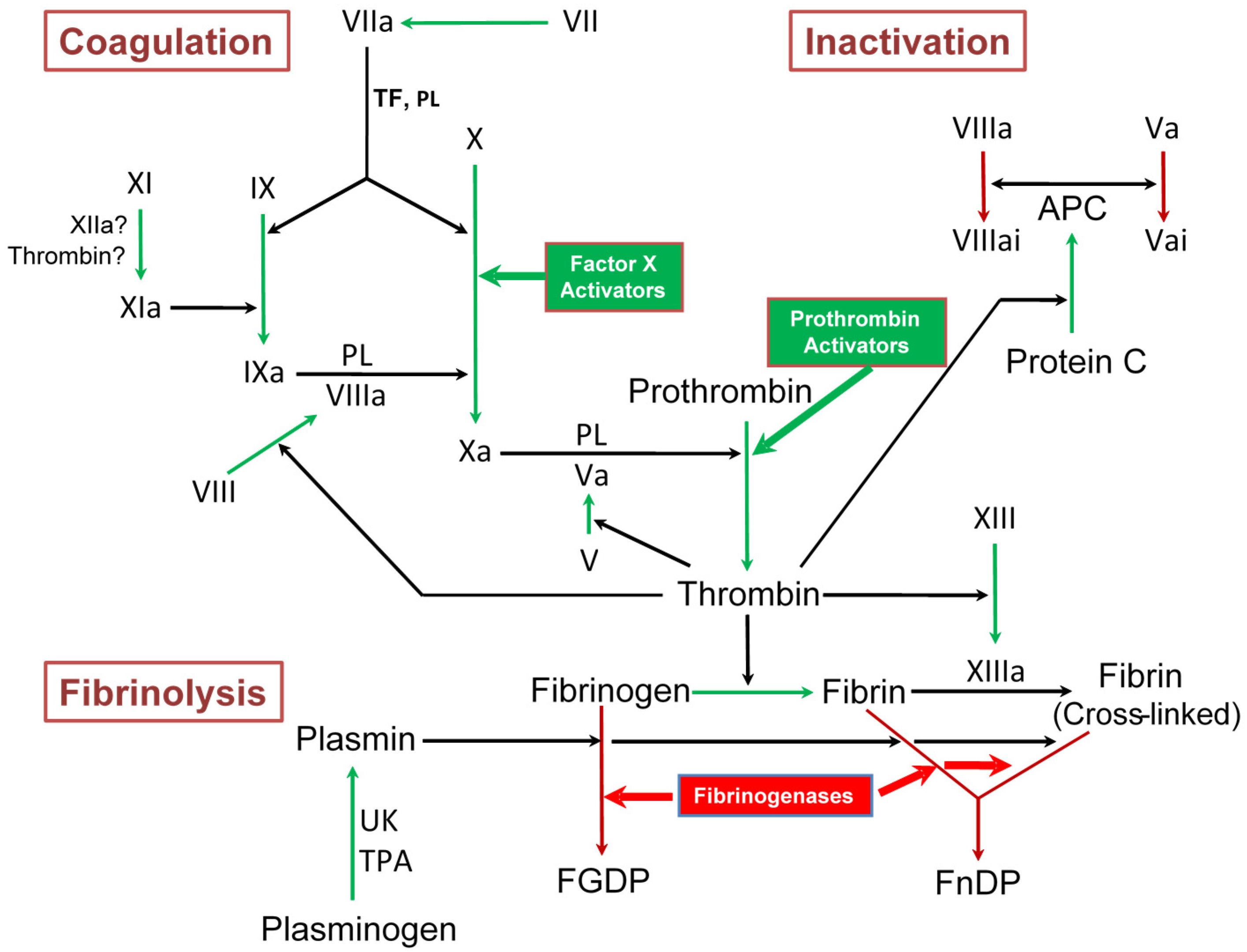 Toxins 08 00284 g001