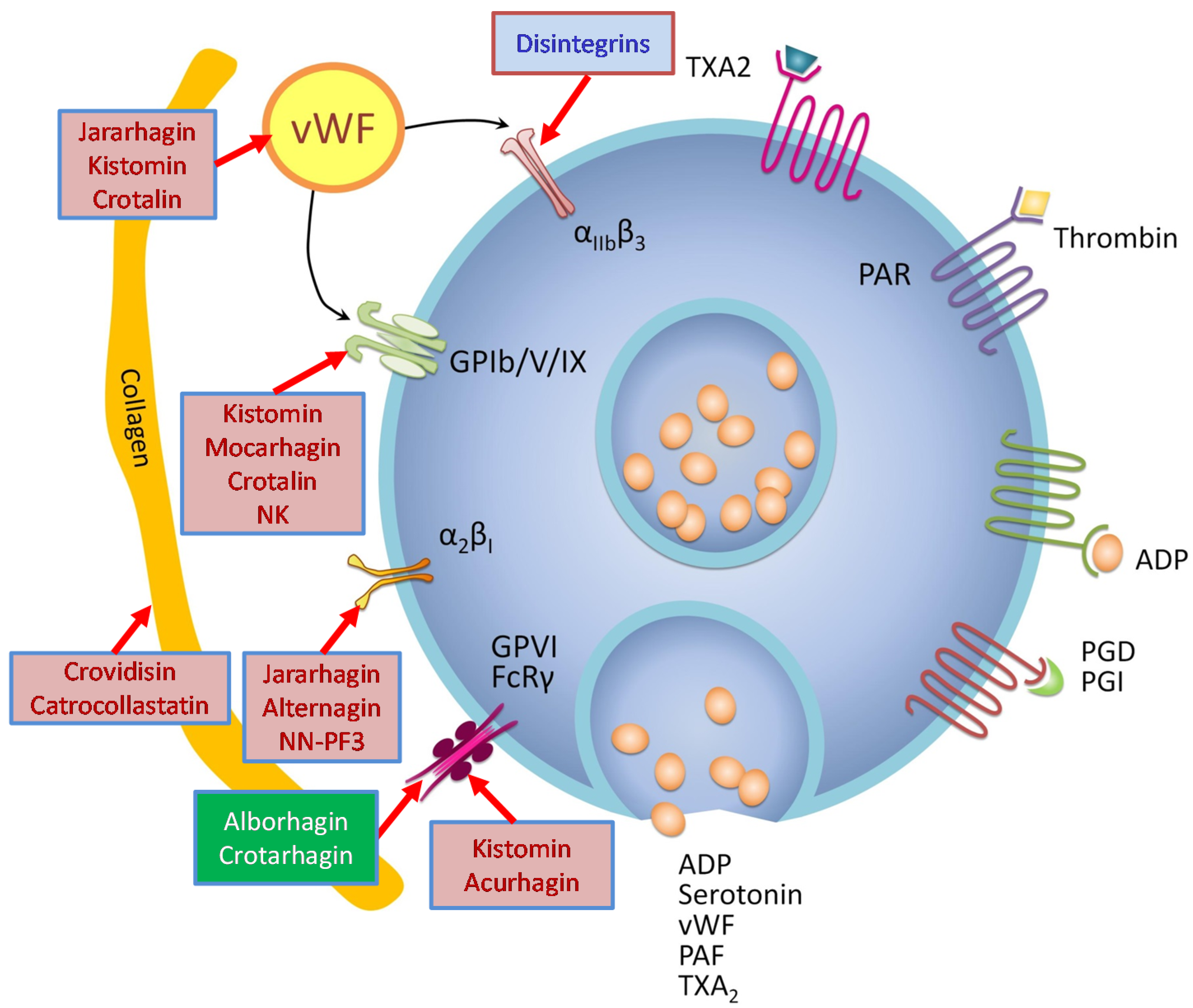 Toxins 08 00284 g002