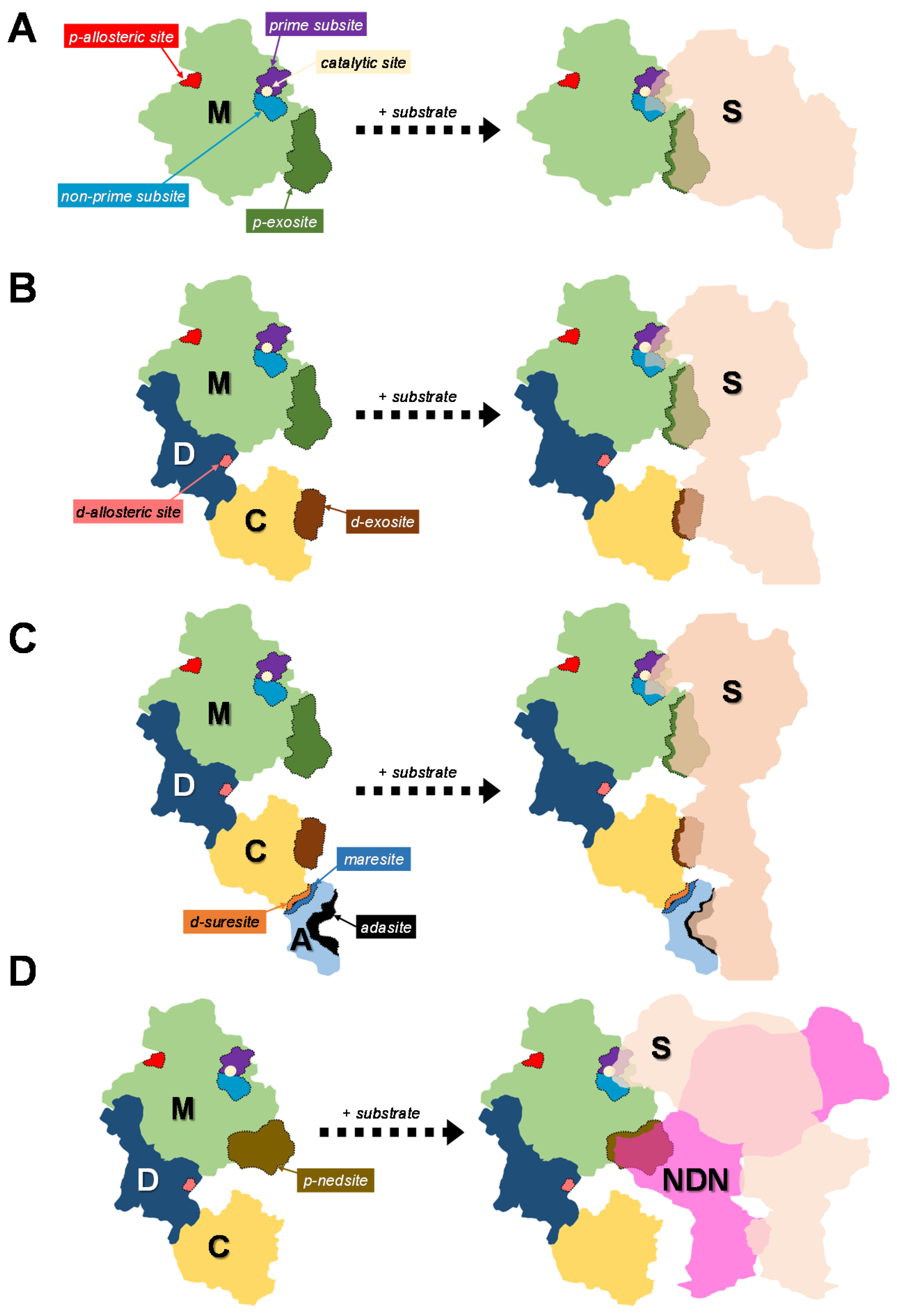 Toxins 08 00284 g004
