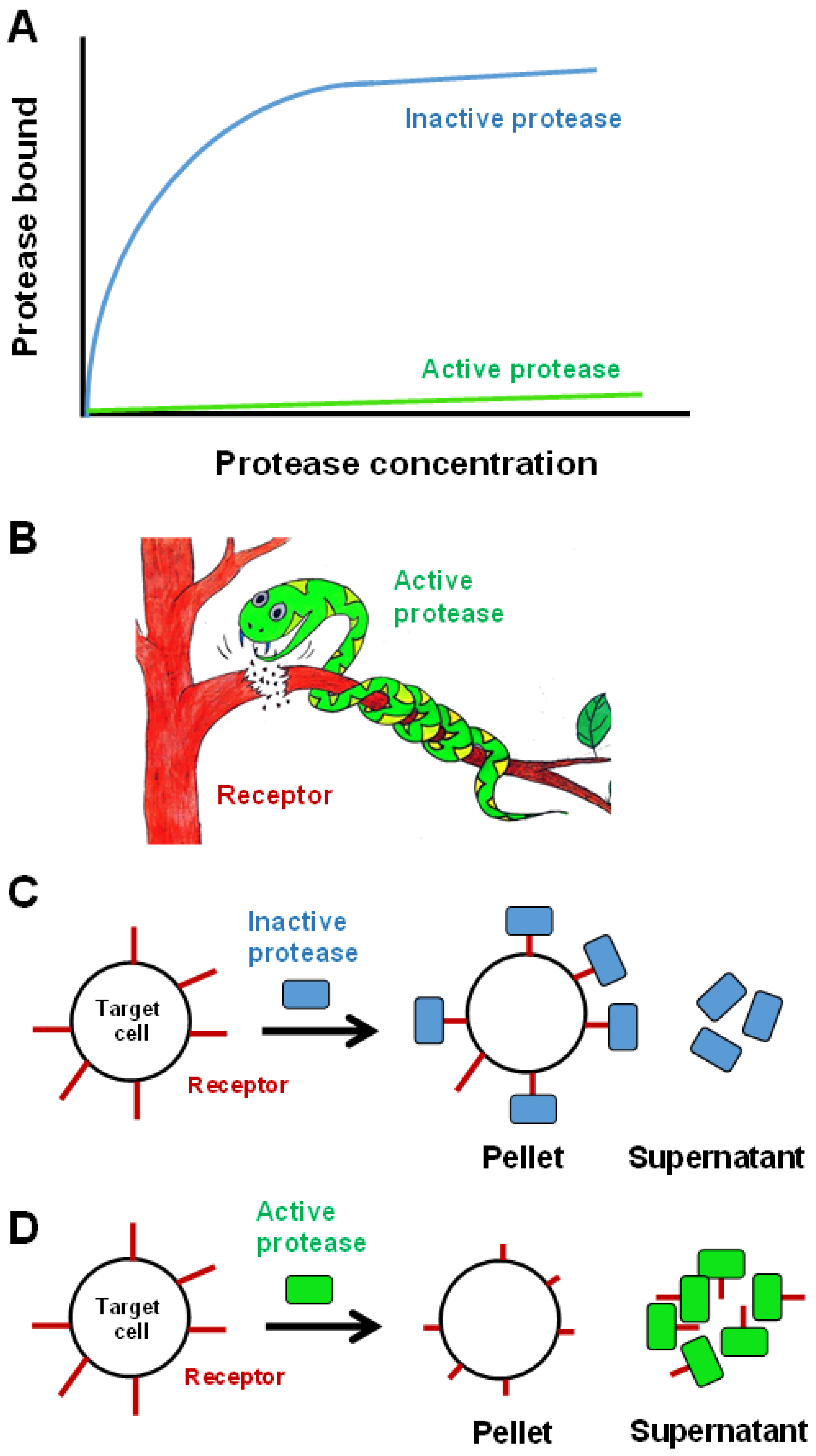 Toxins 08 00284 g005