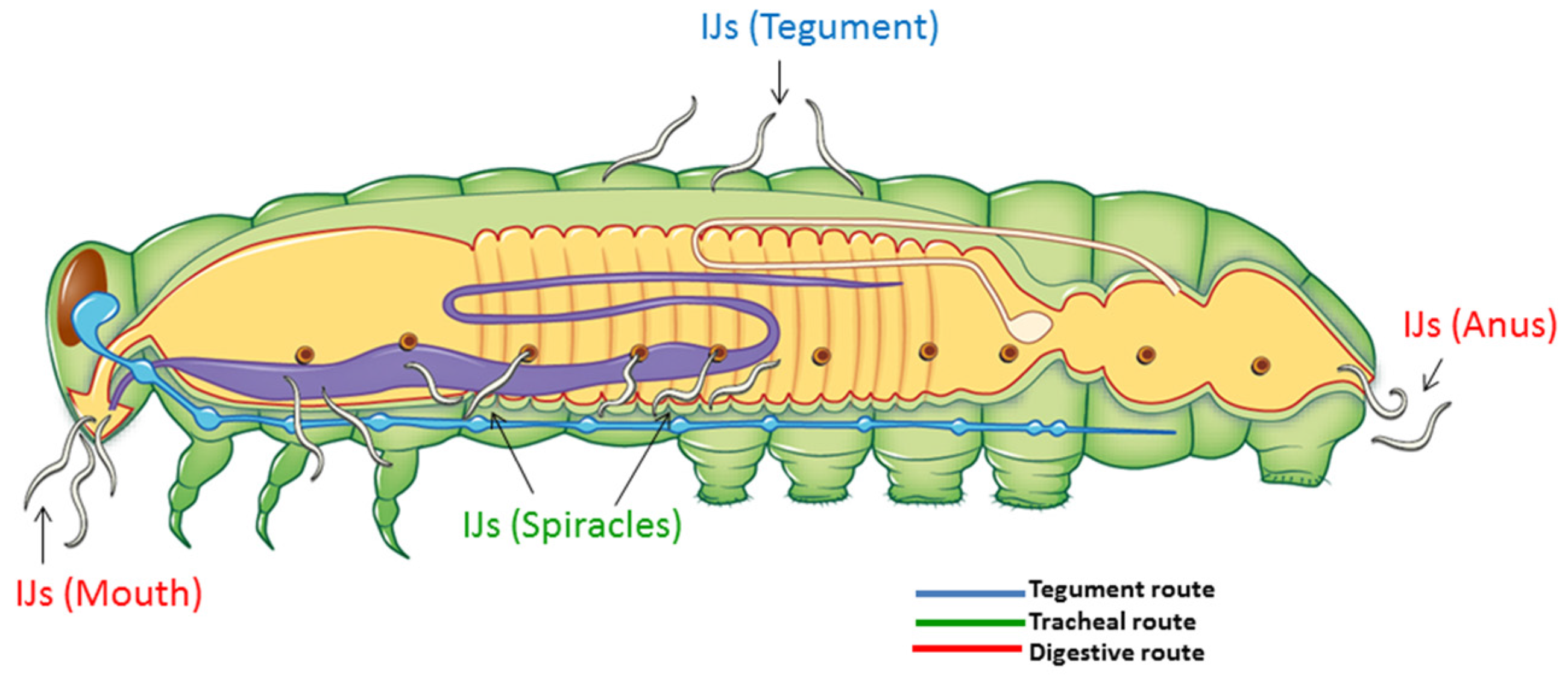 Toxins 08 00287 g003