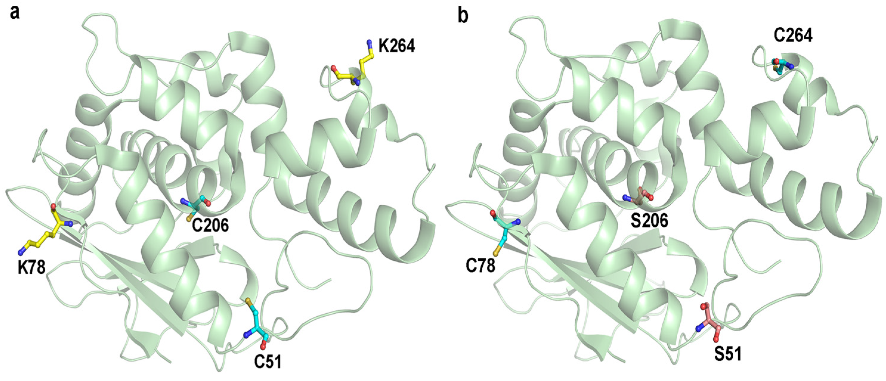 Toxins 08 00298 g001