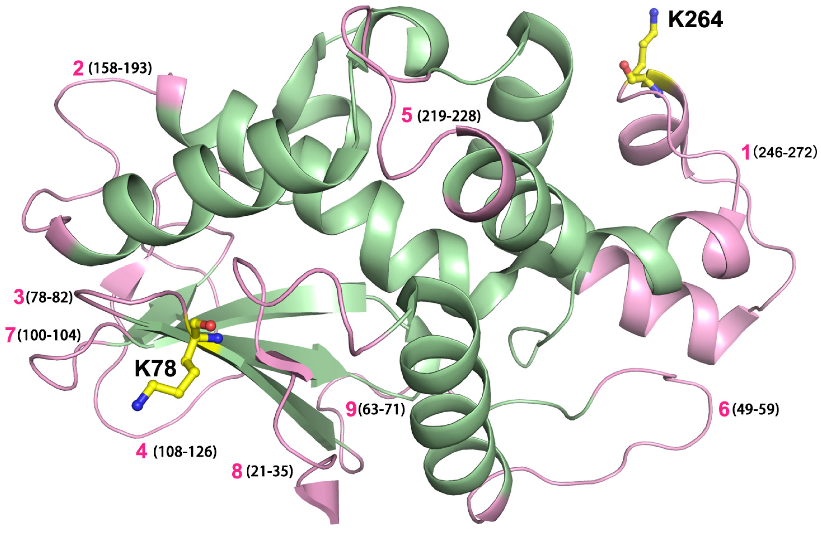 Toxins 08 00298 g005
