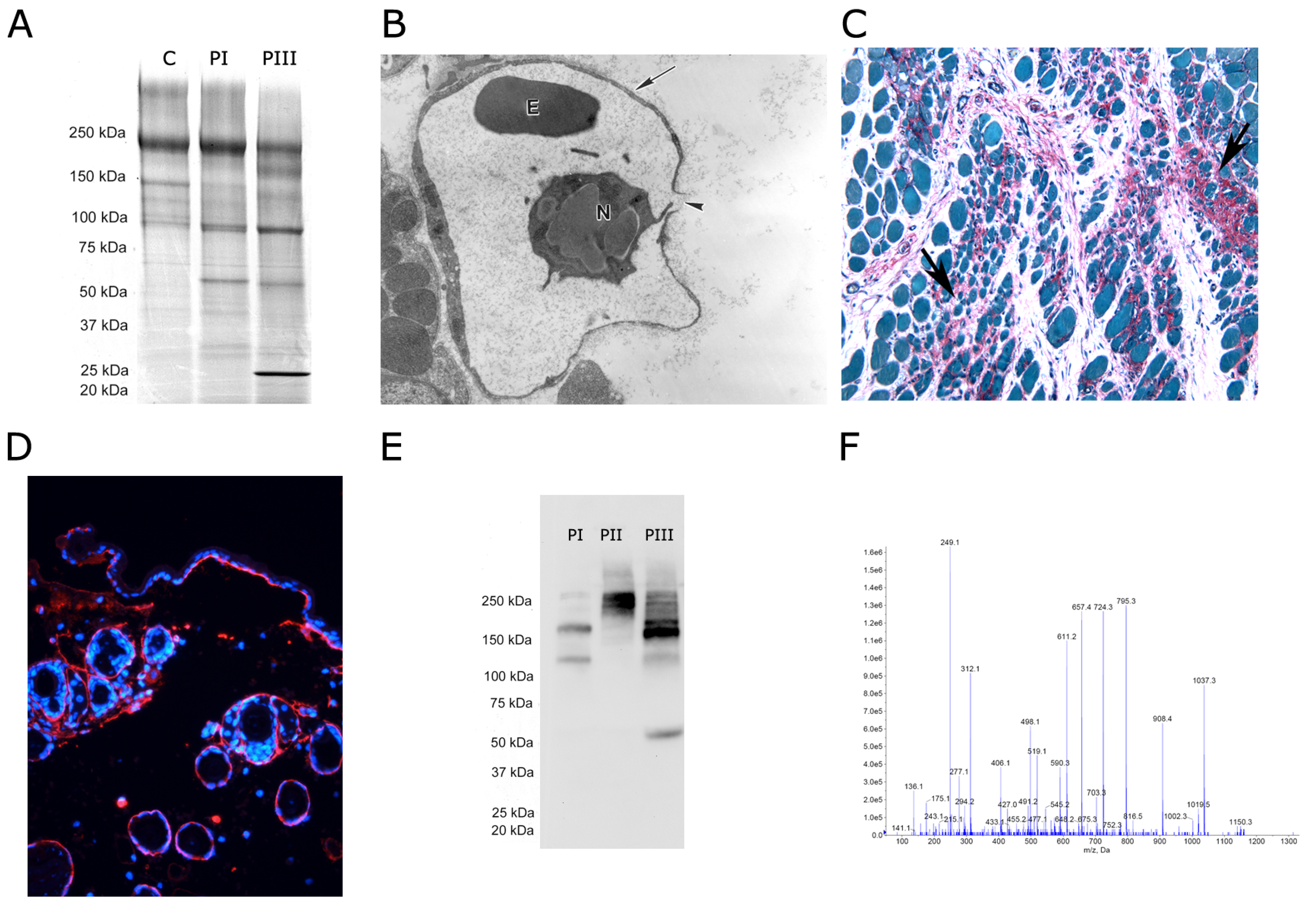 Toxins 08 00304 g001