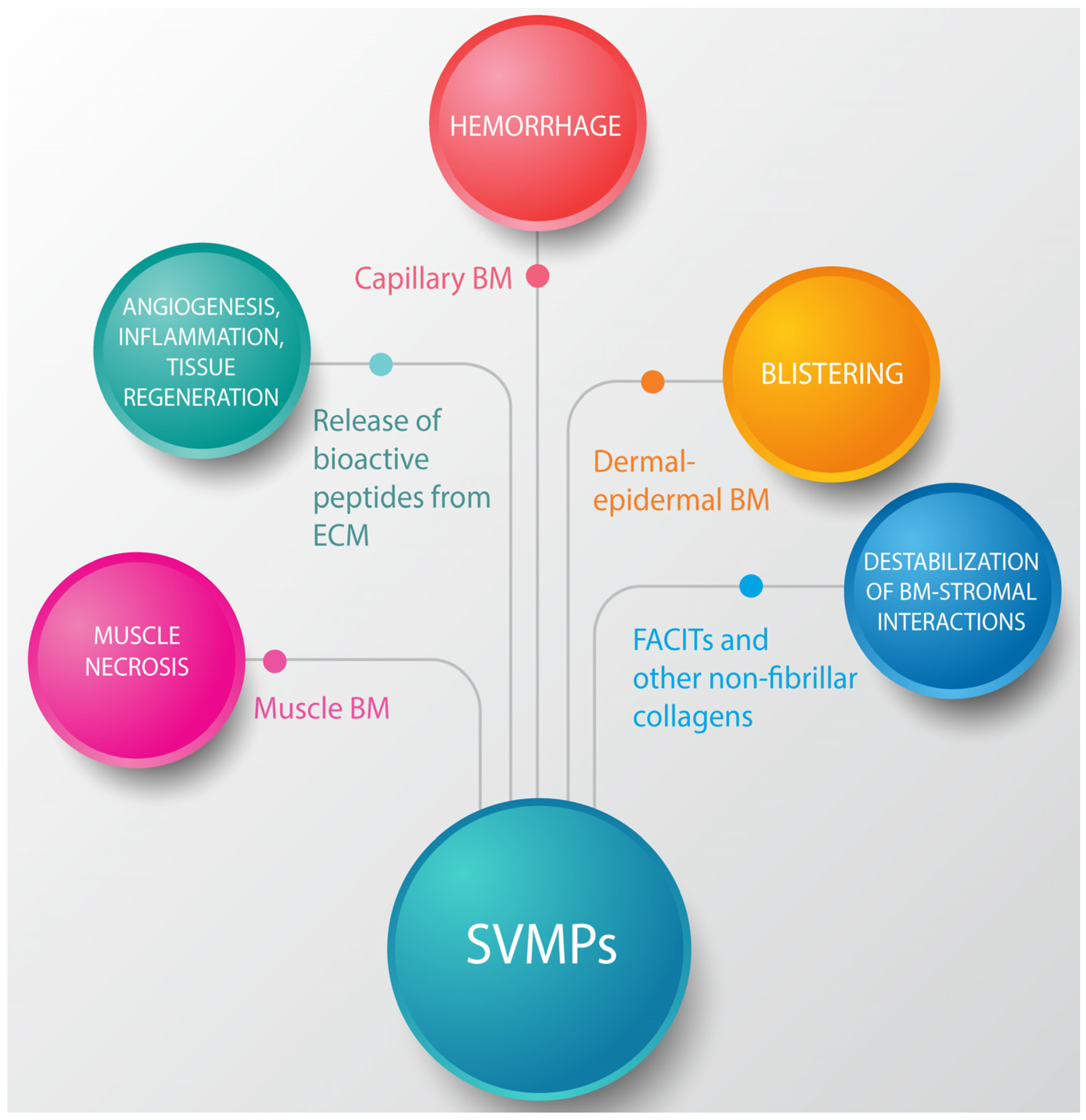 Toxins 08 00304 g005