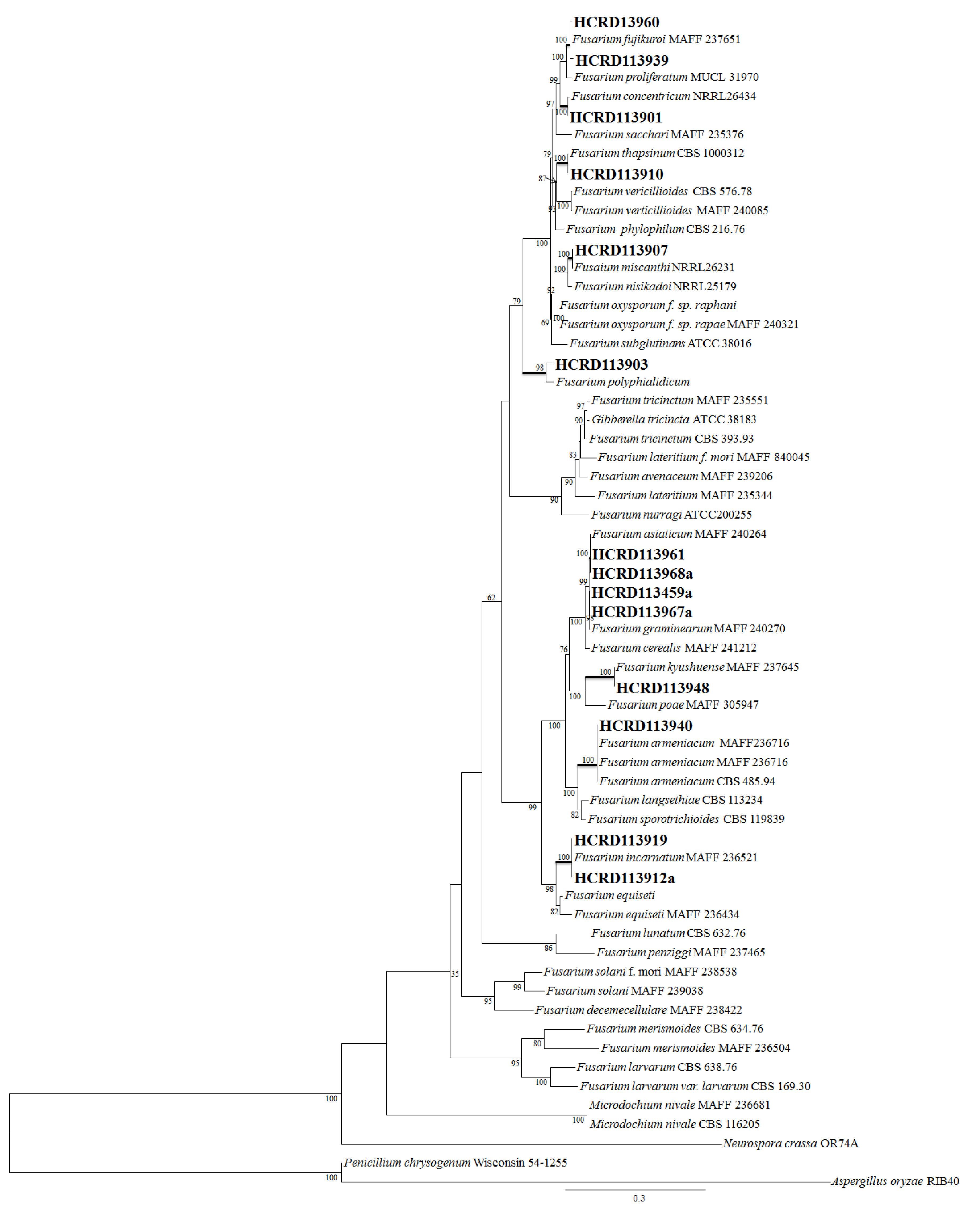 Toxins 08 00310 g002