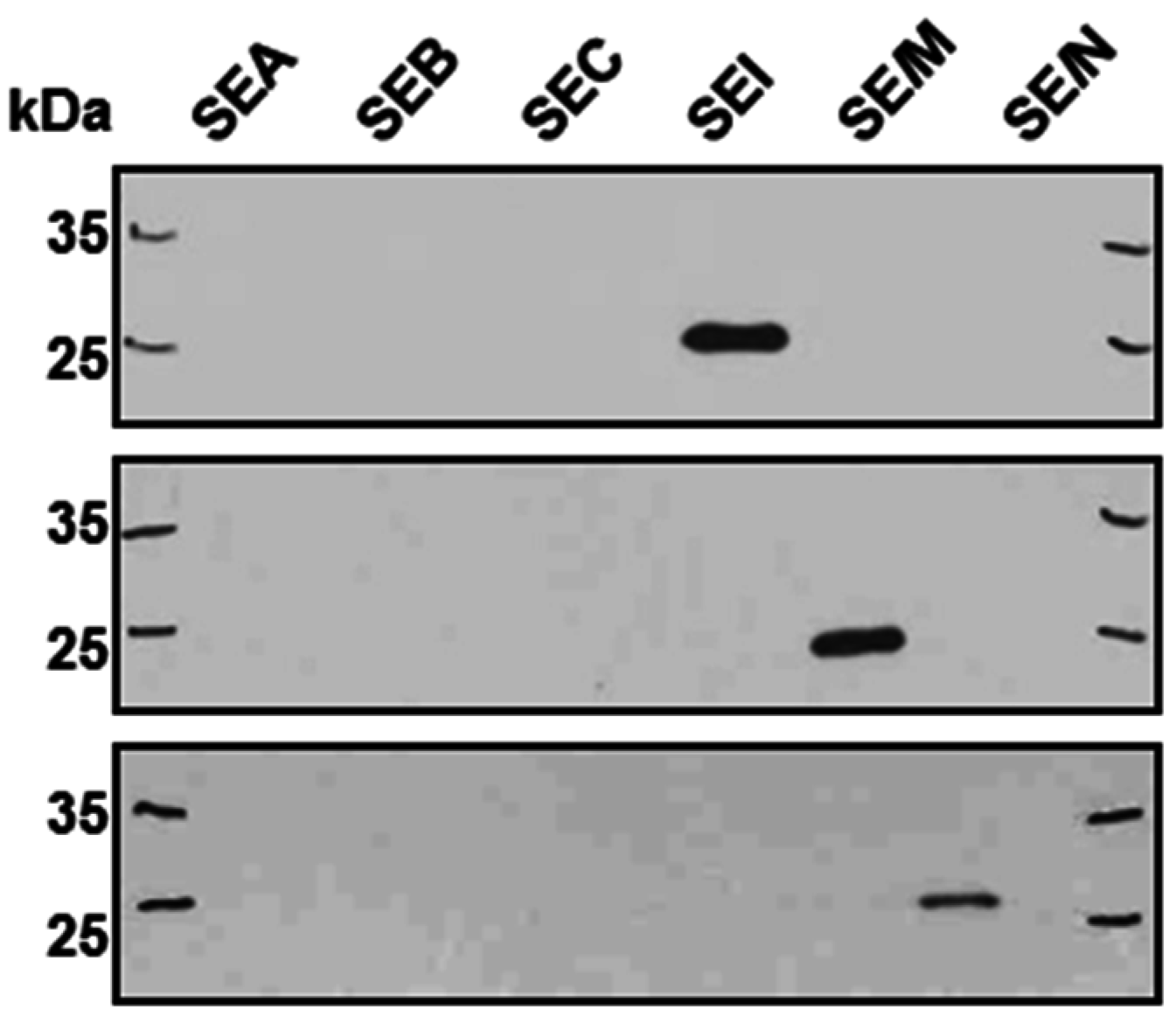 Toxins 08 00314 g001