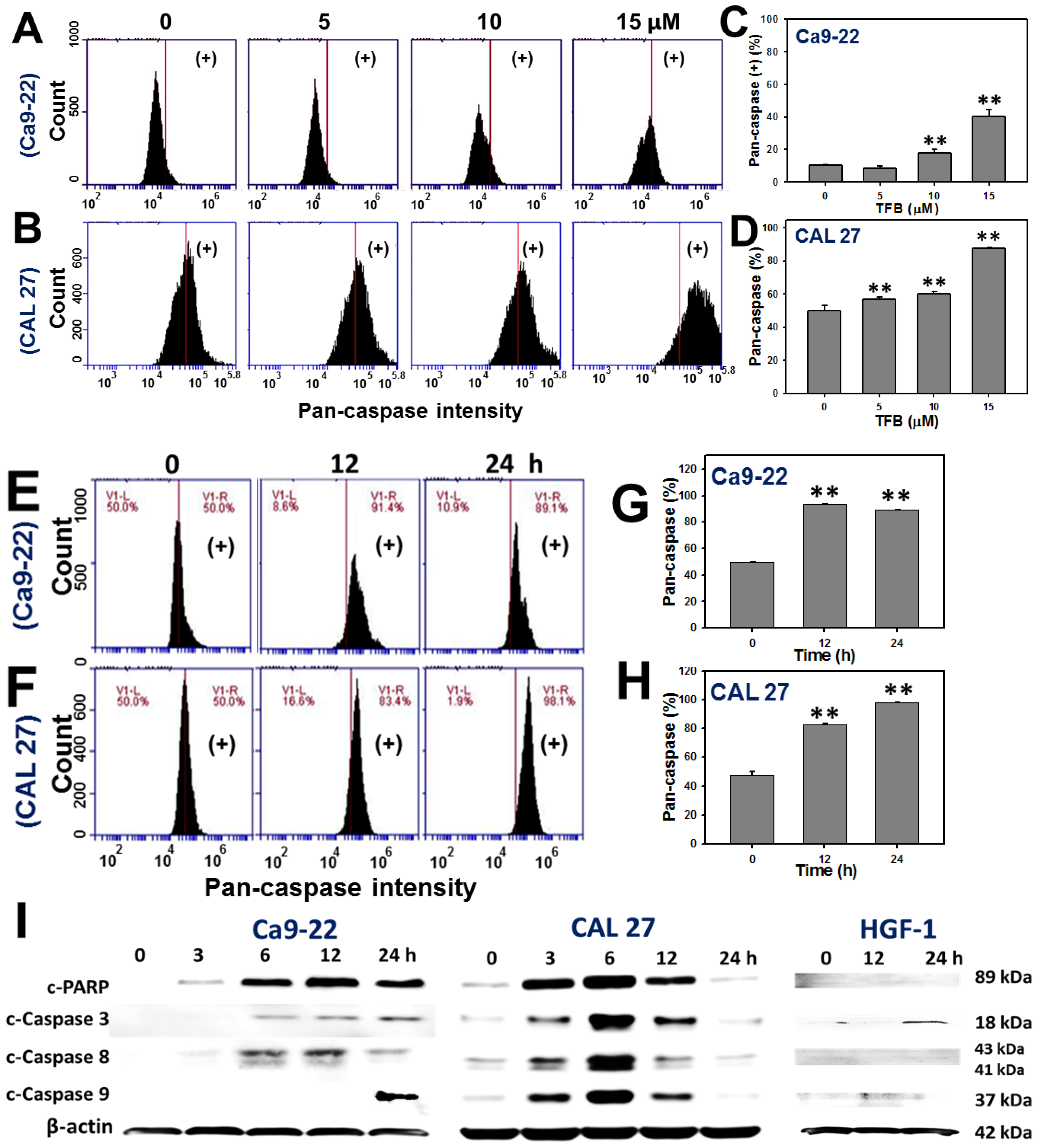 Toxins 08 00319 g004