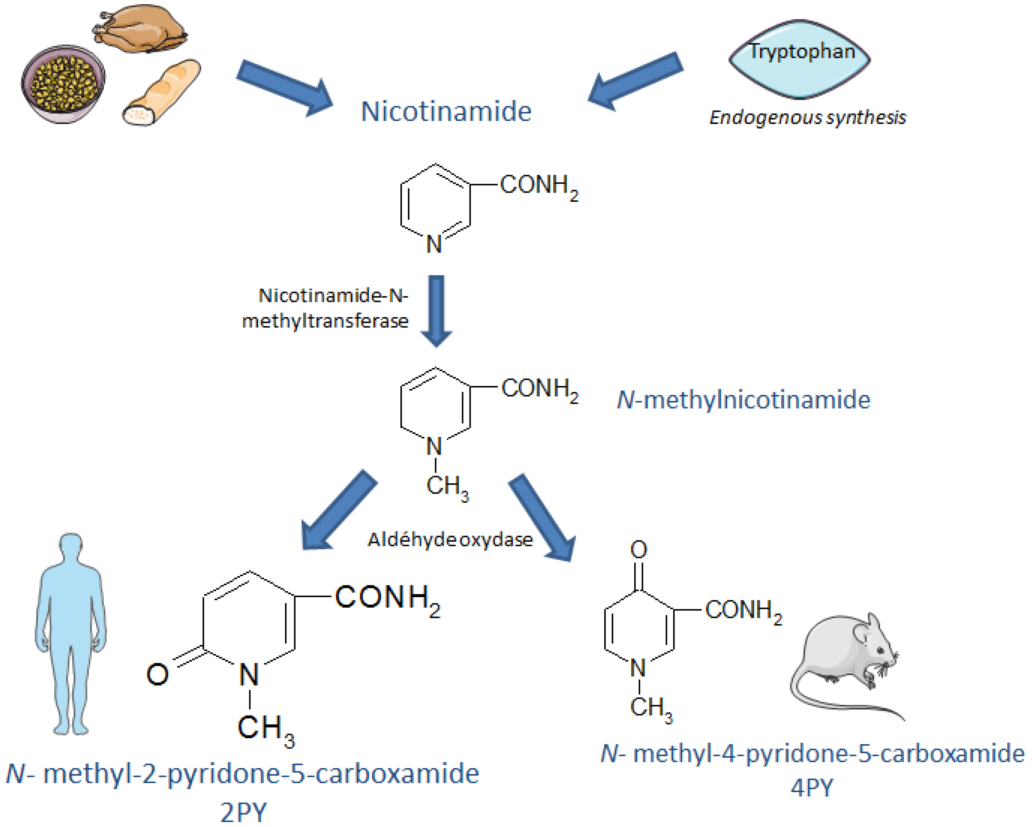 Toxins 08 00339 g001