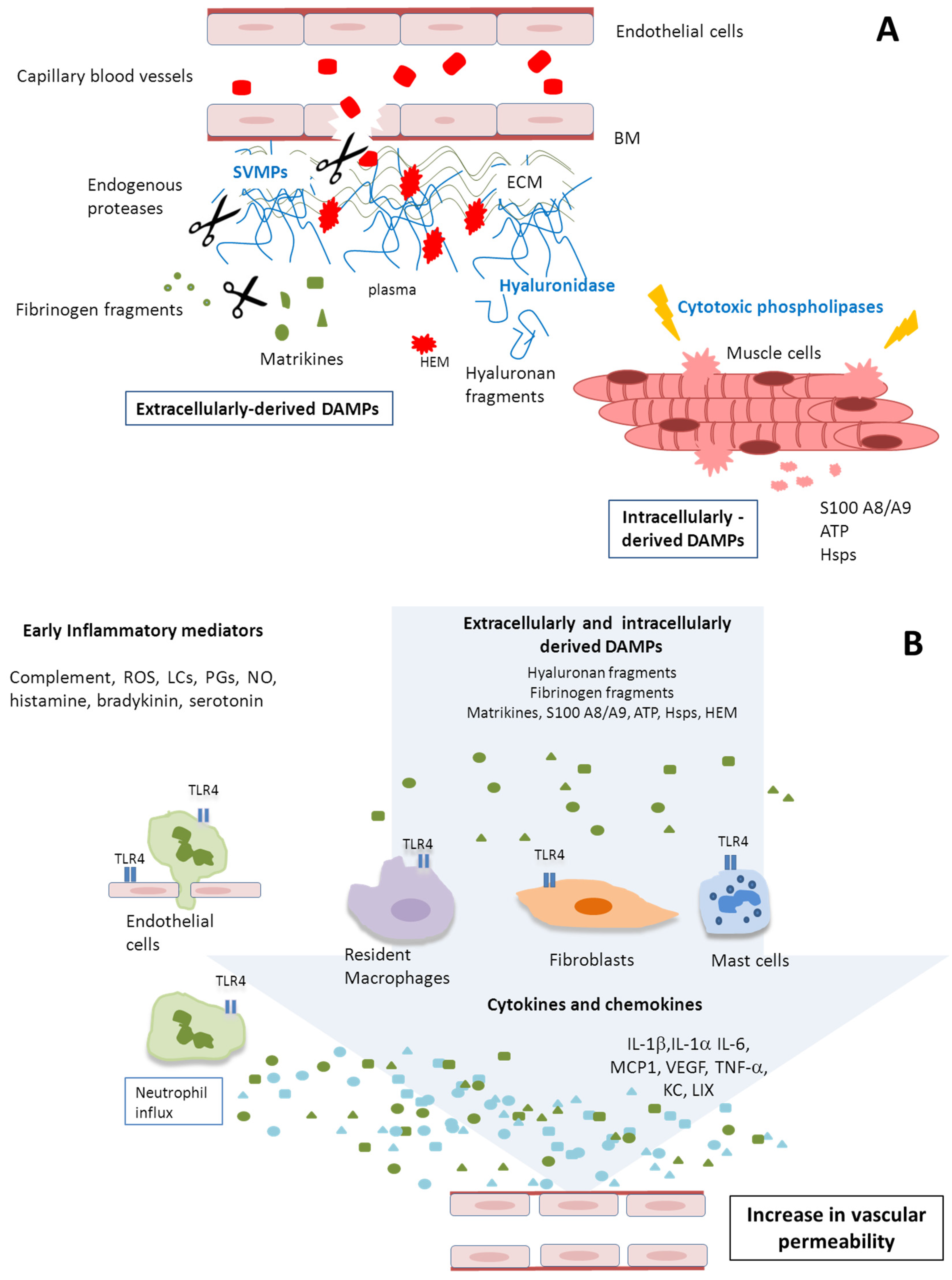 Toxins 08 00349 g003