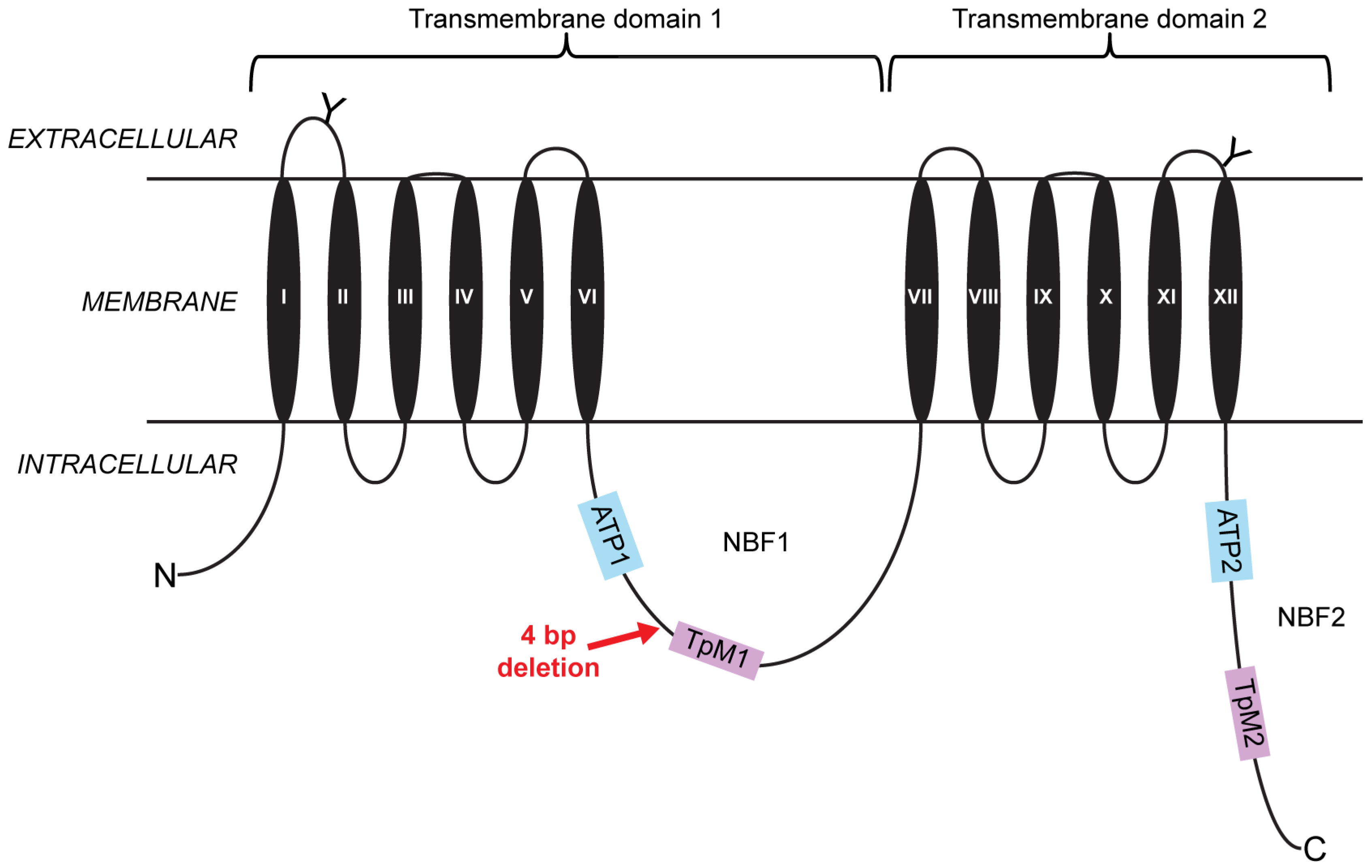 Toxins 08 00362 g001