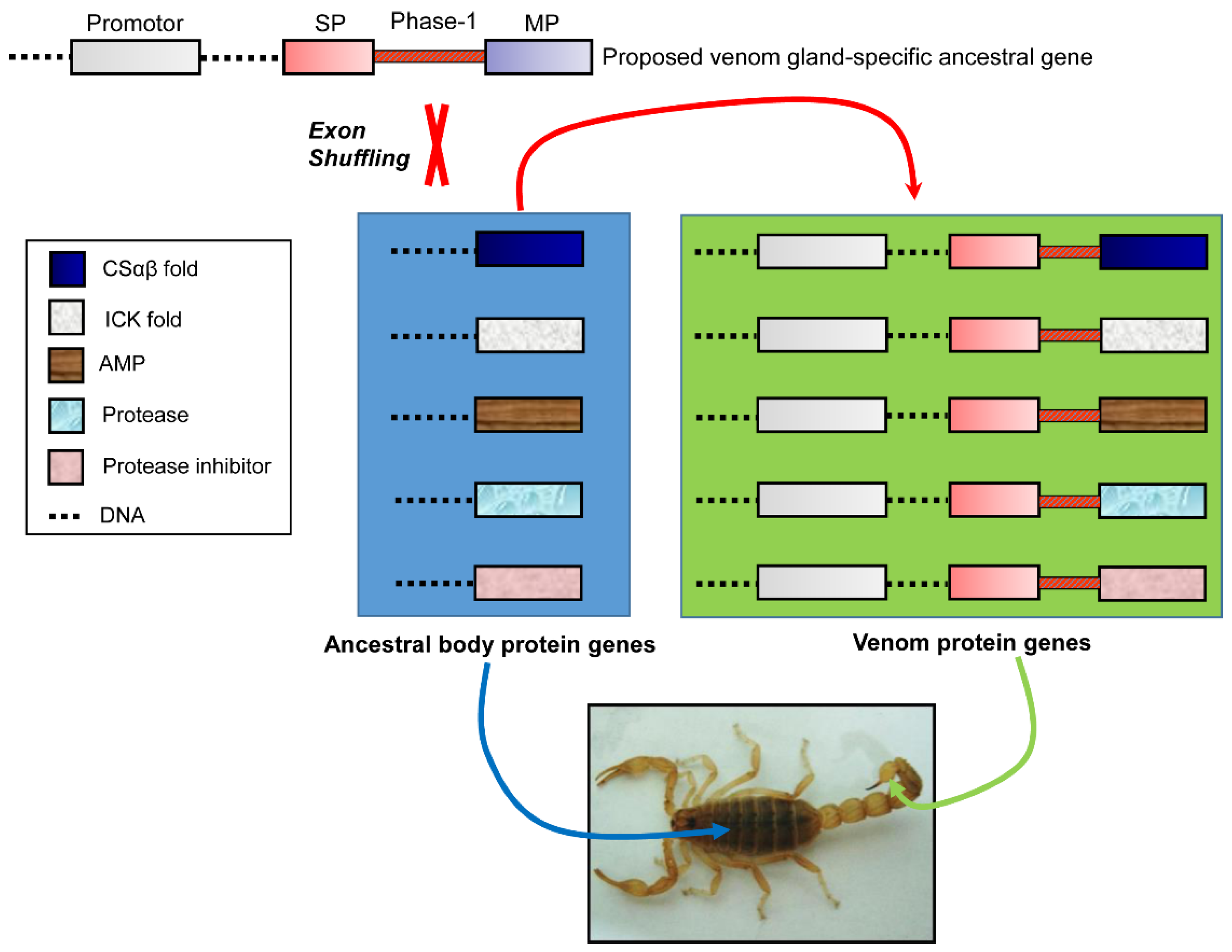 Toxins 09 00010 g004