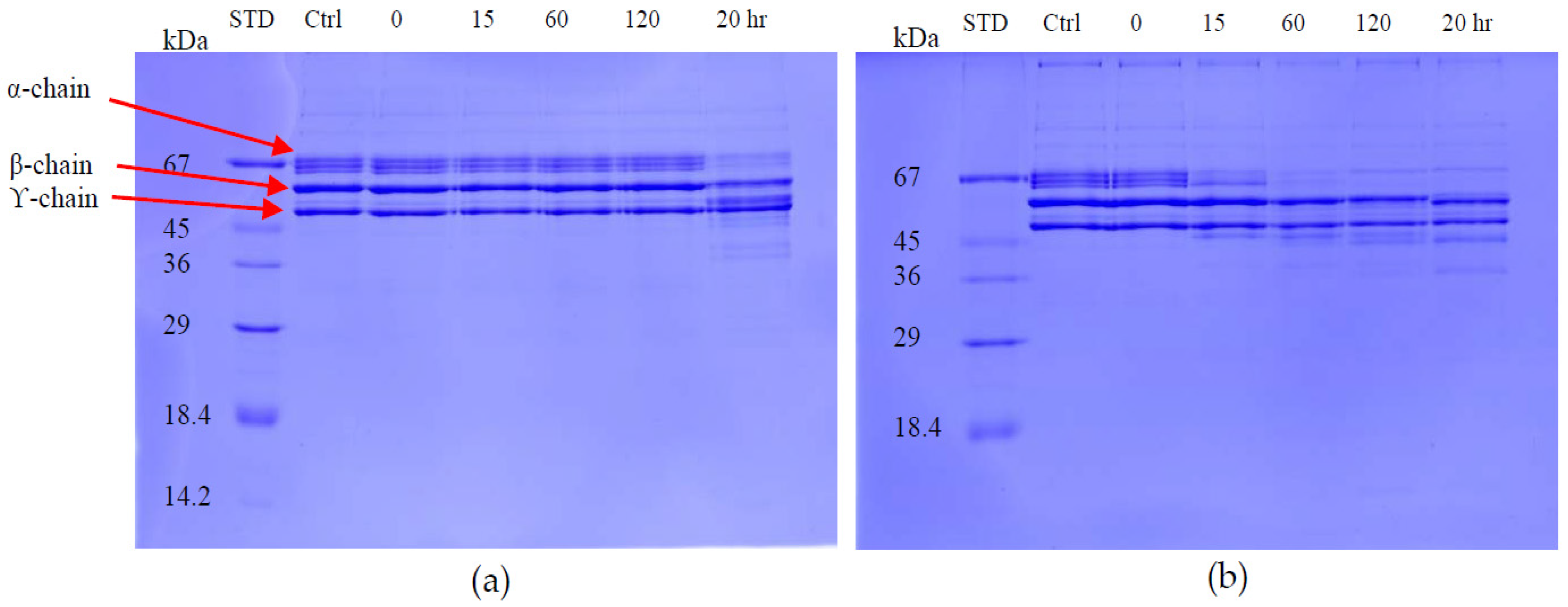 Toxins 09 00015 g010