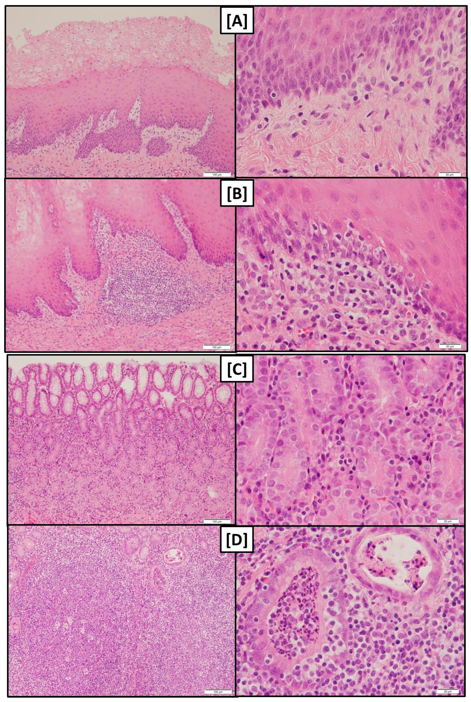 Toxins 09 00016 g003a