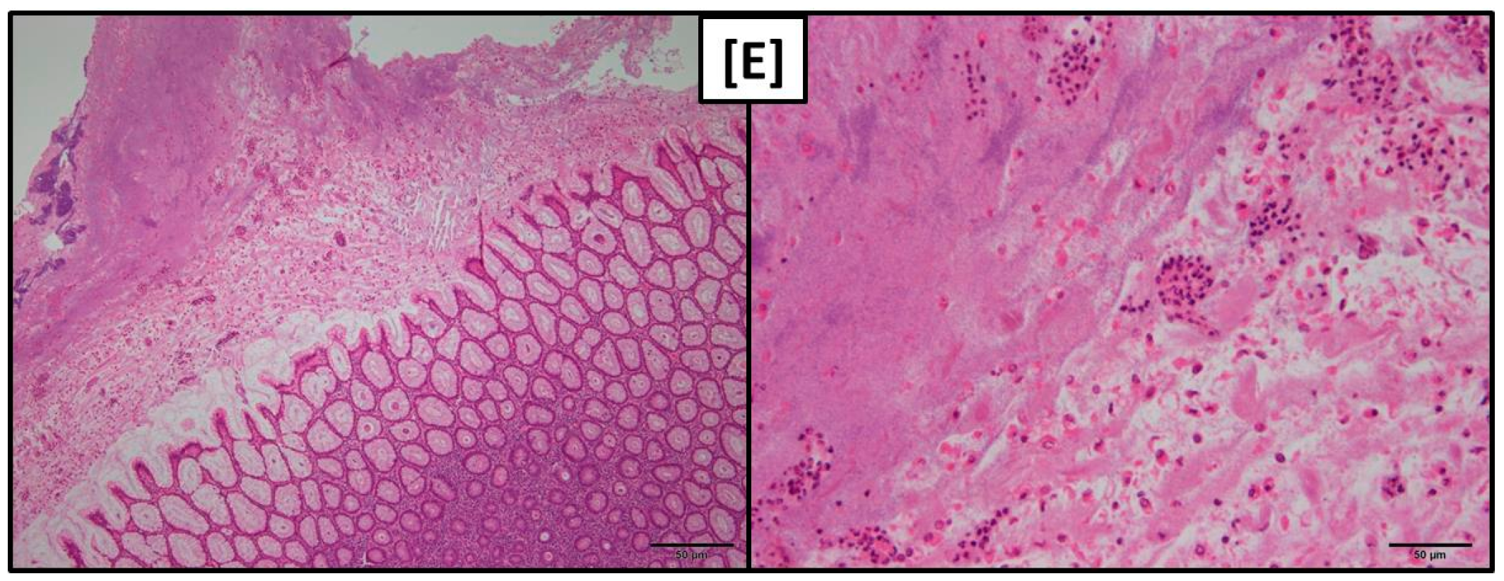 Toxins 09 00016 g003b
