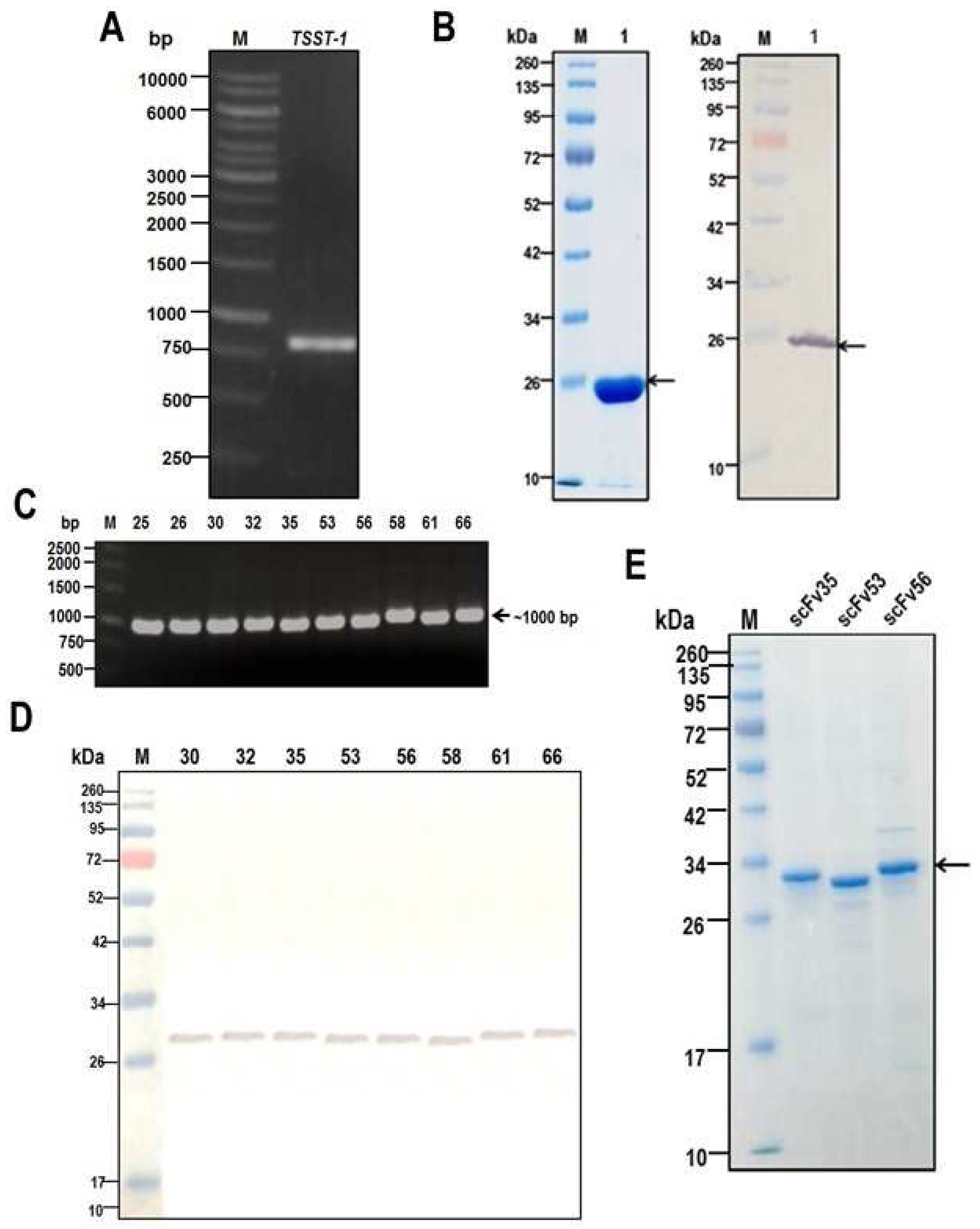 Toxins 09 00050 g001