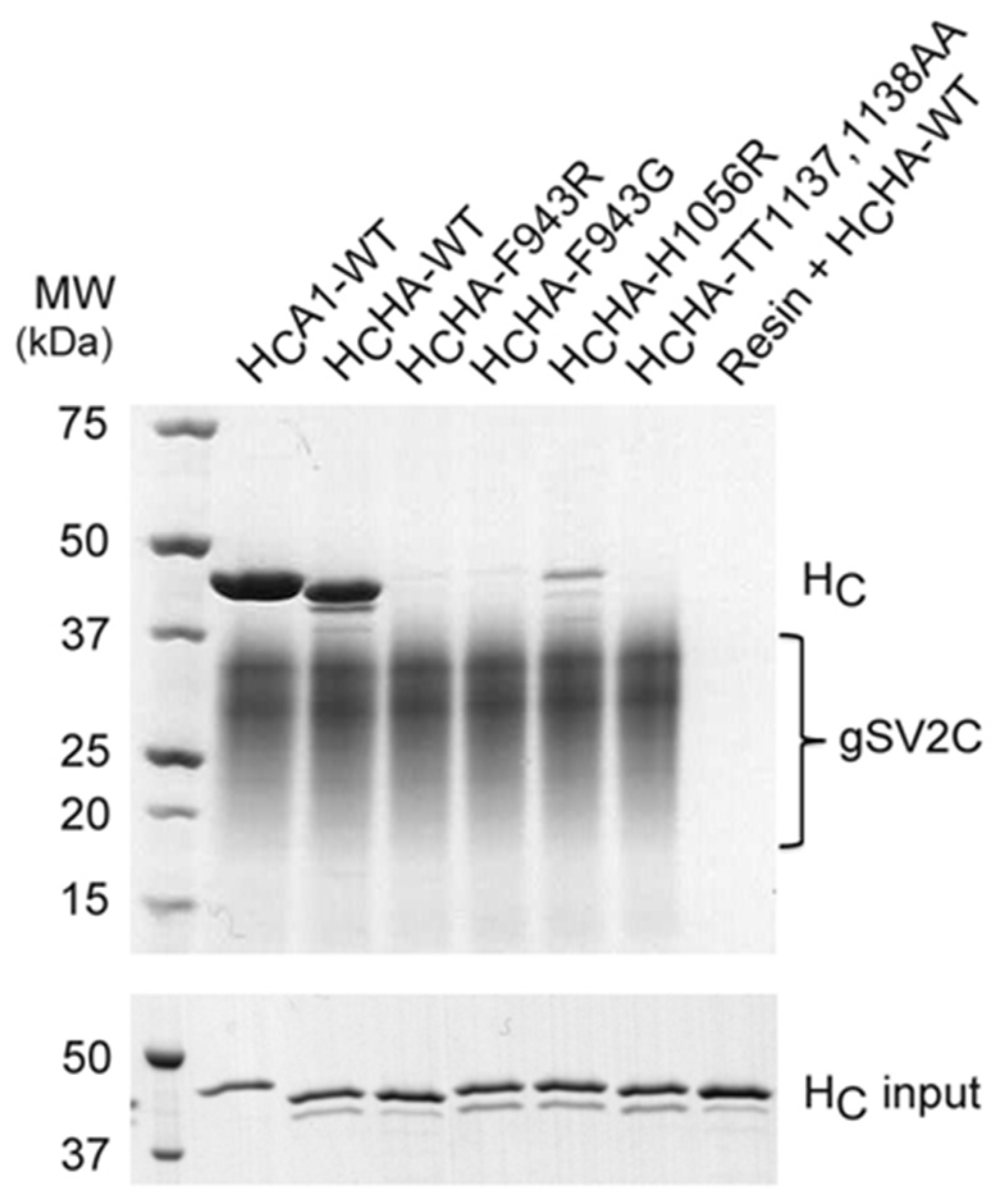 Toxins 09 00093 g003