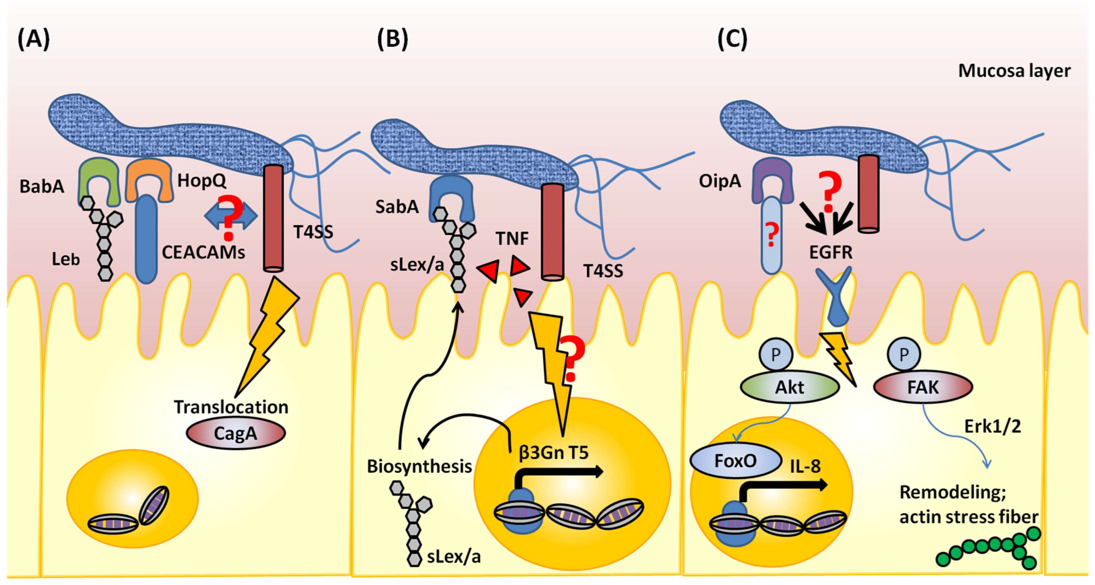 Toxins 09 00101 g001