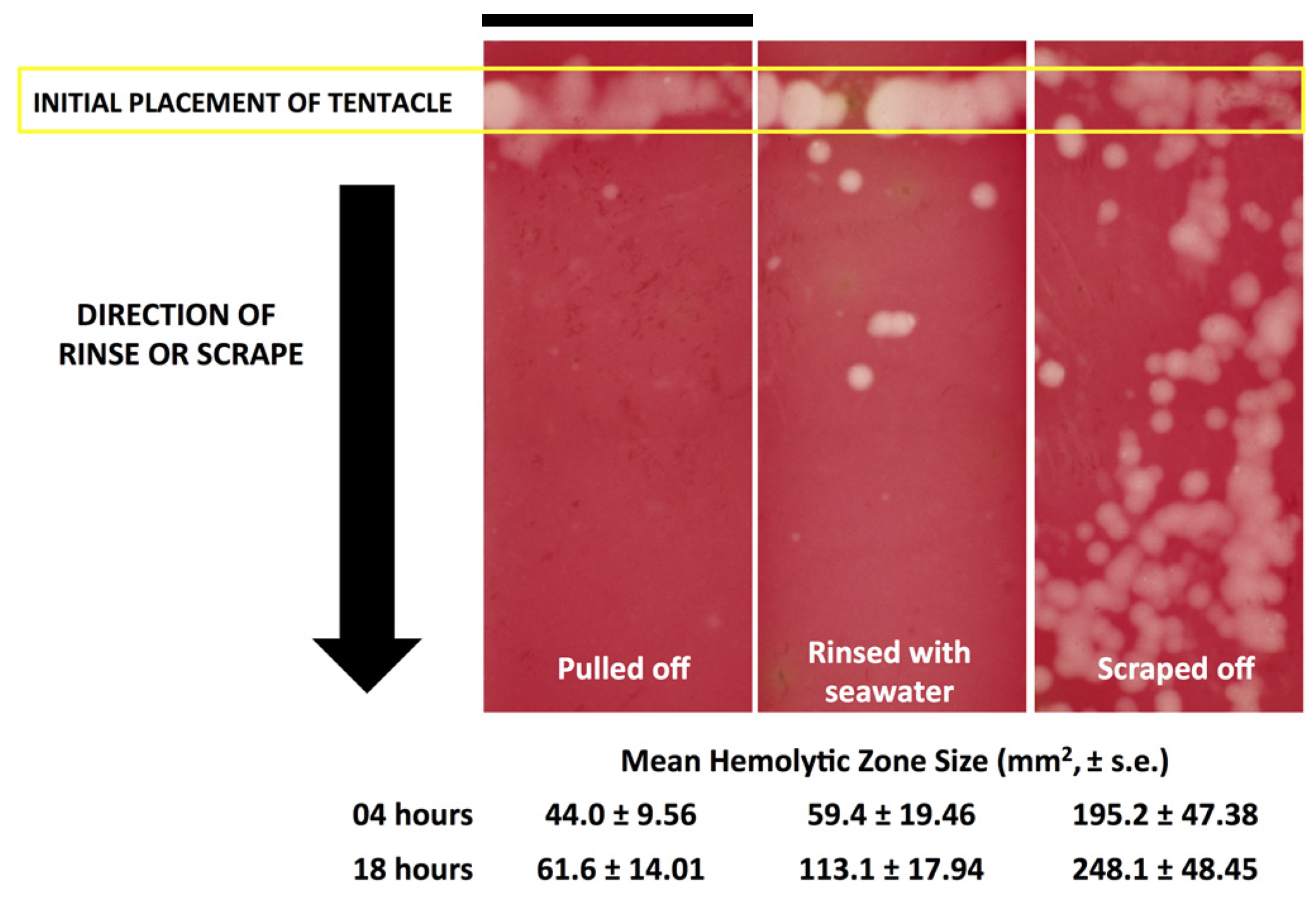 Toxins 09 00105 g003