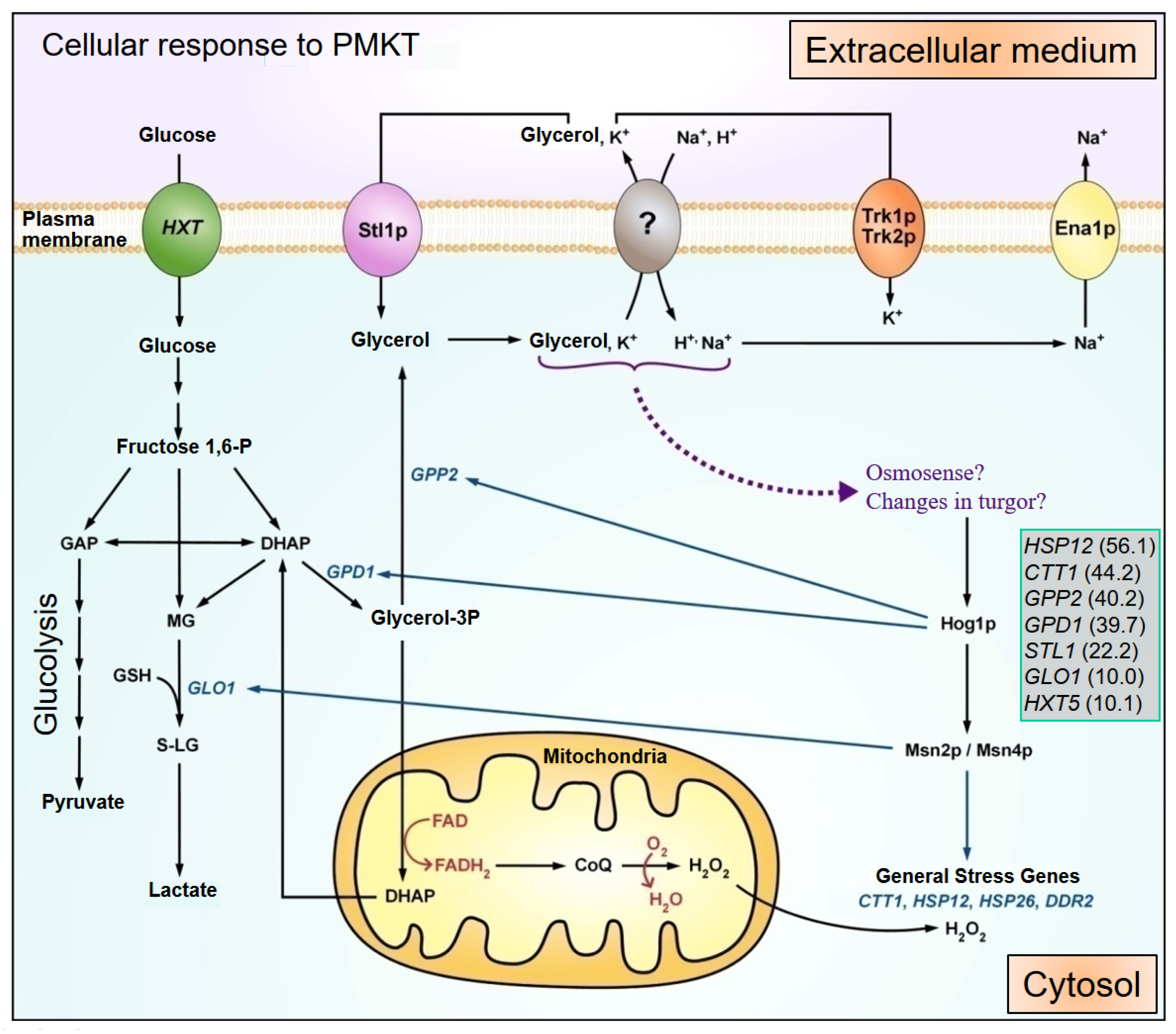 Toxins 09 00112 g002