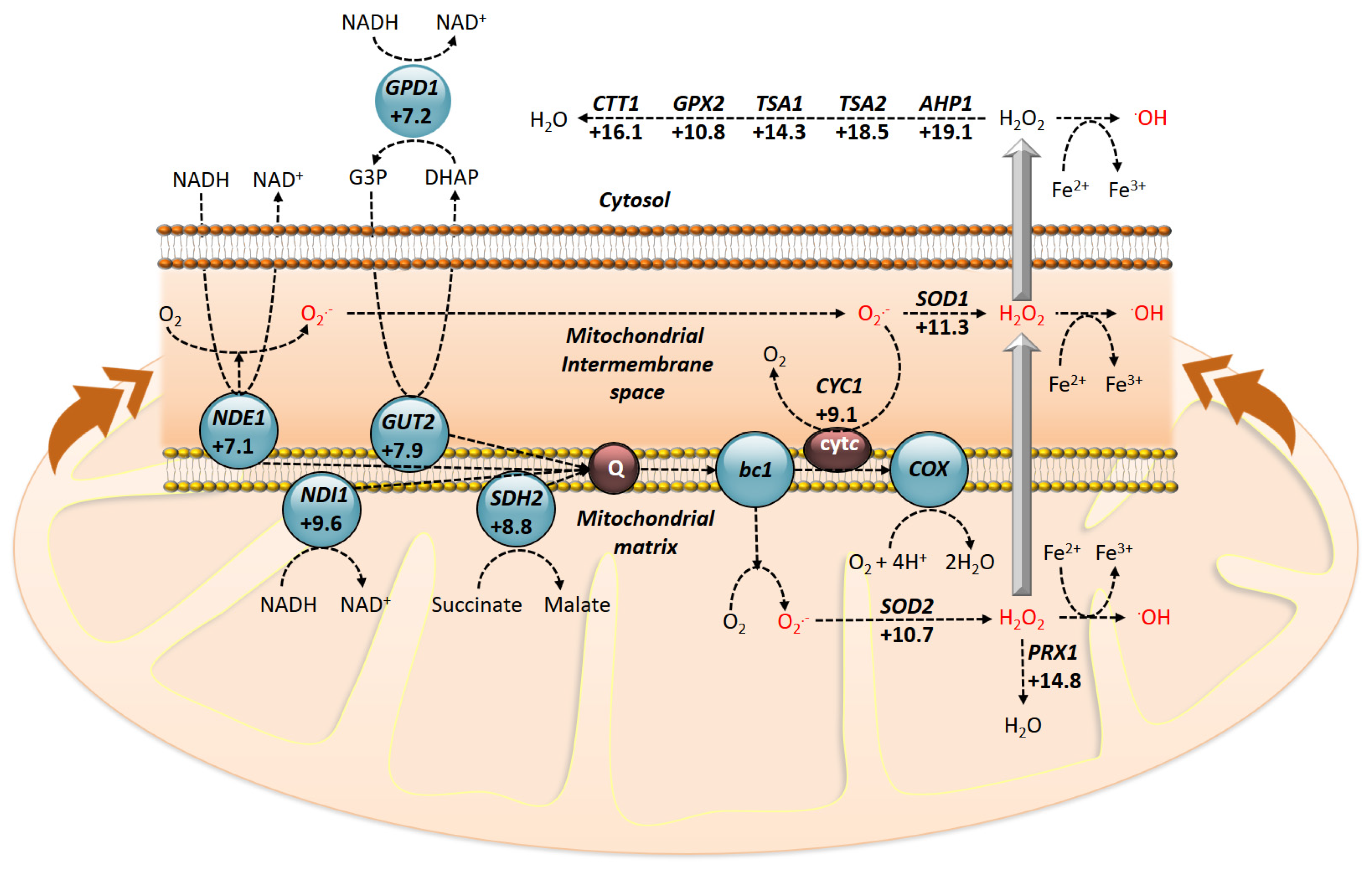 Toxins 09 00112 g004