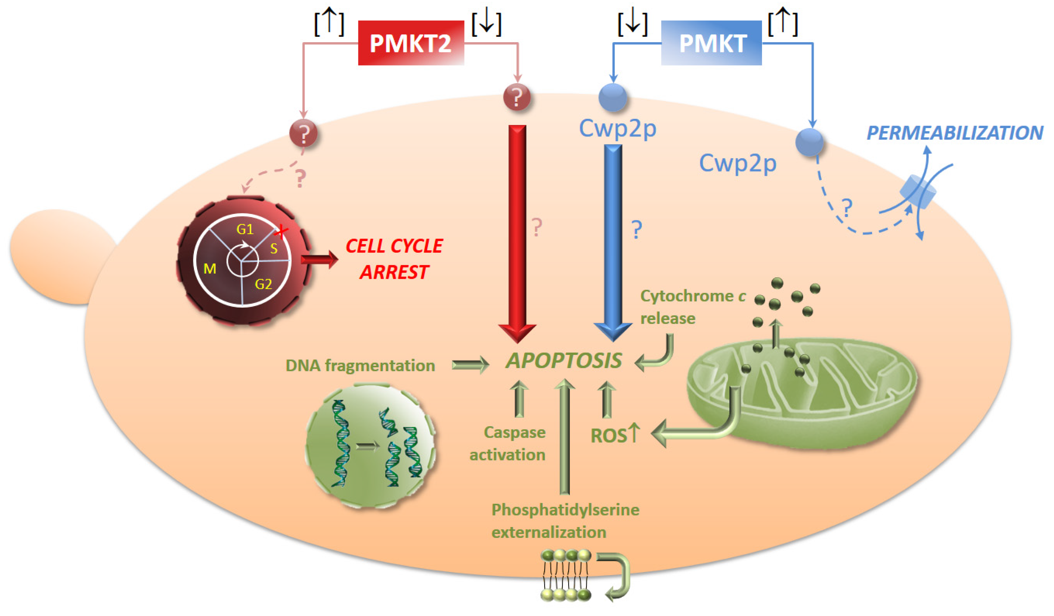 Toxins 09 00112 g005