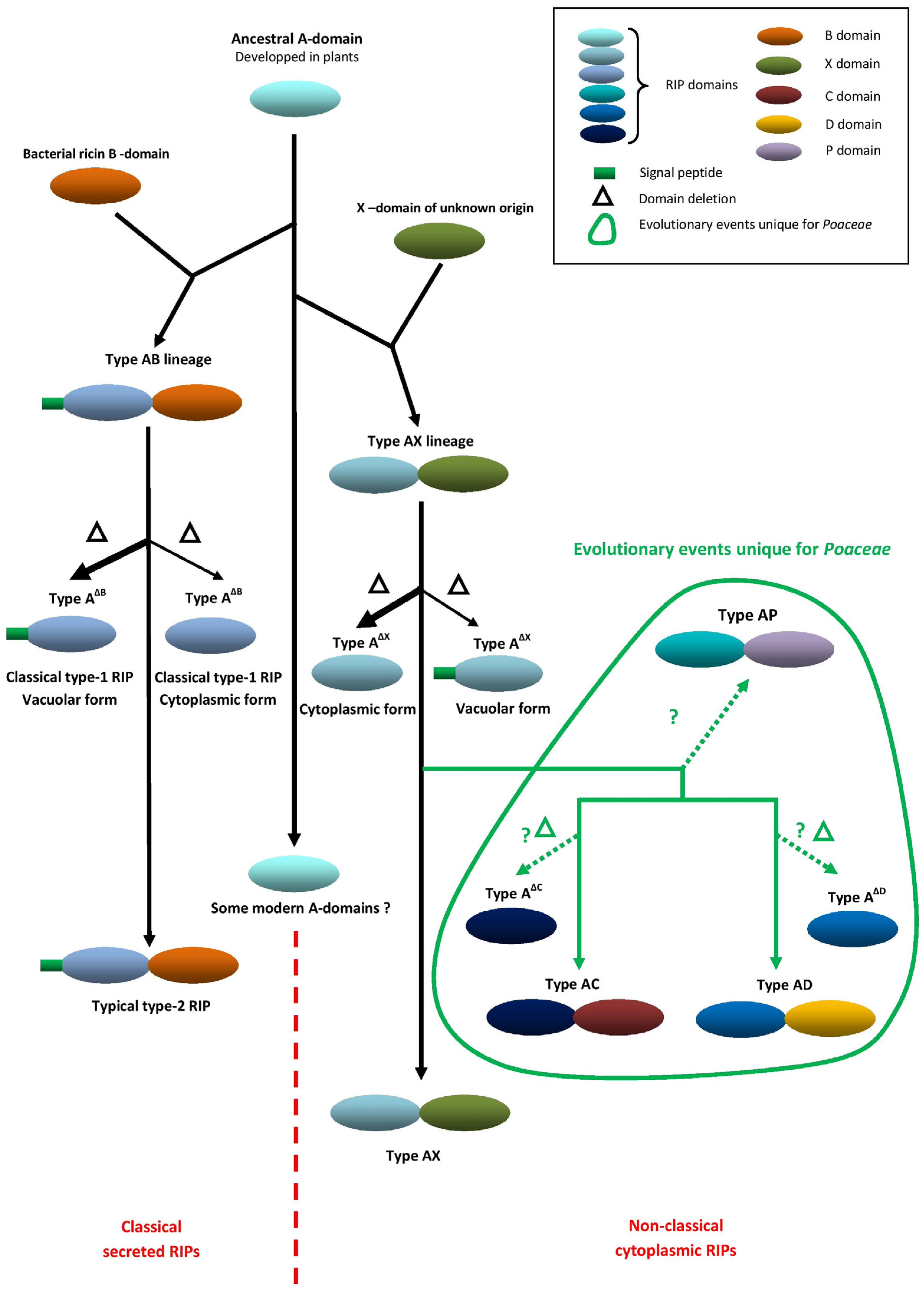 Toxins 09 00123 g001