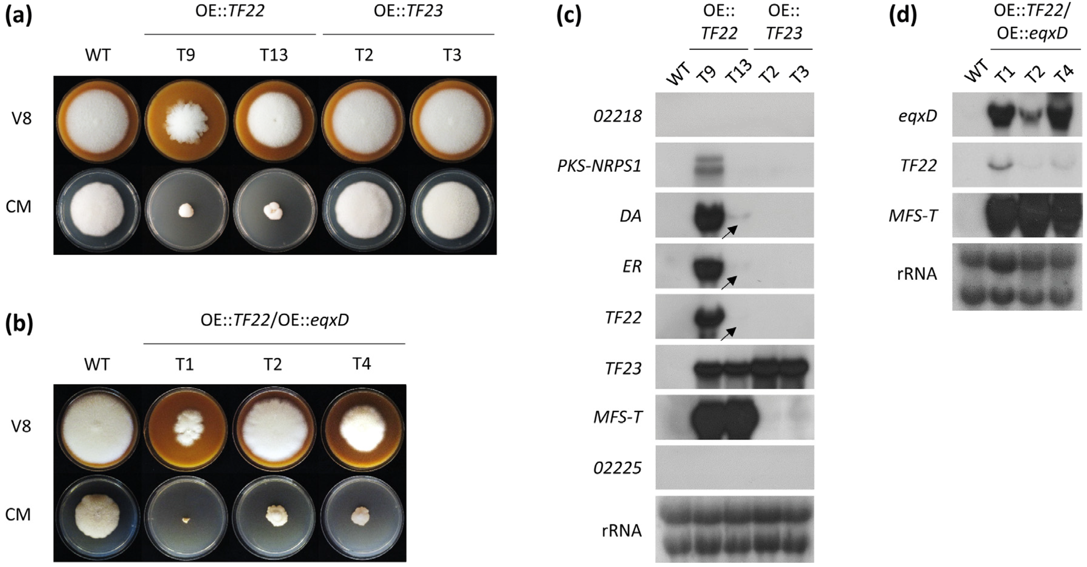 Toxins 09 00126 g002