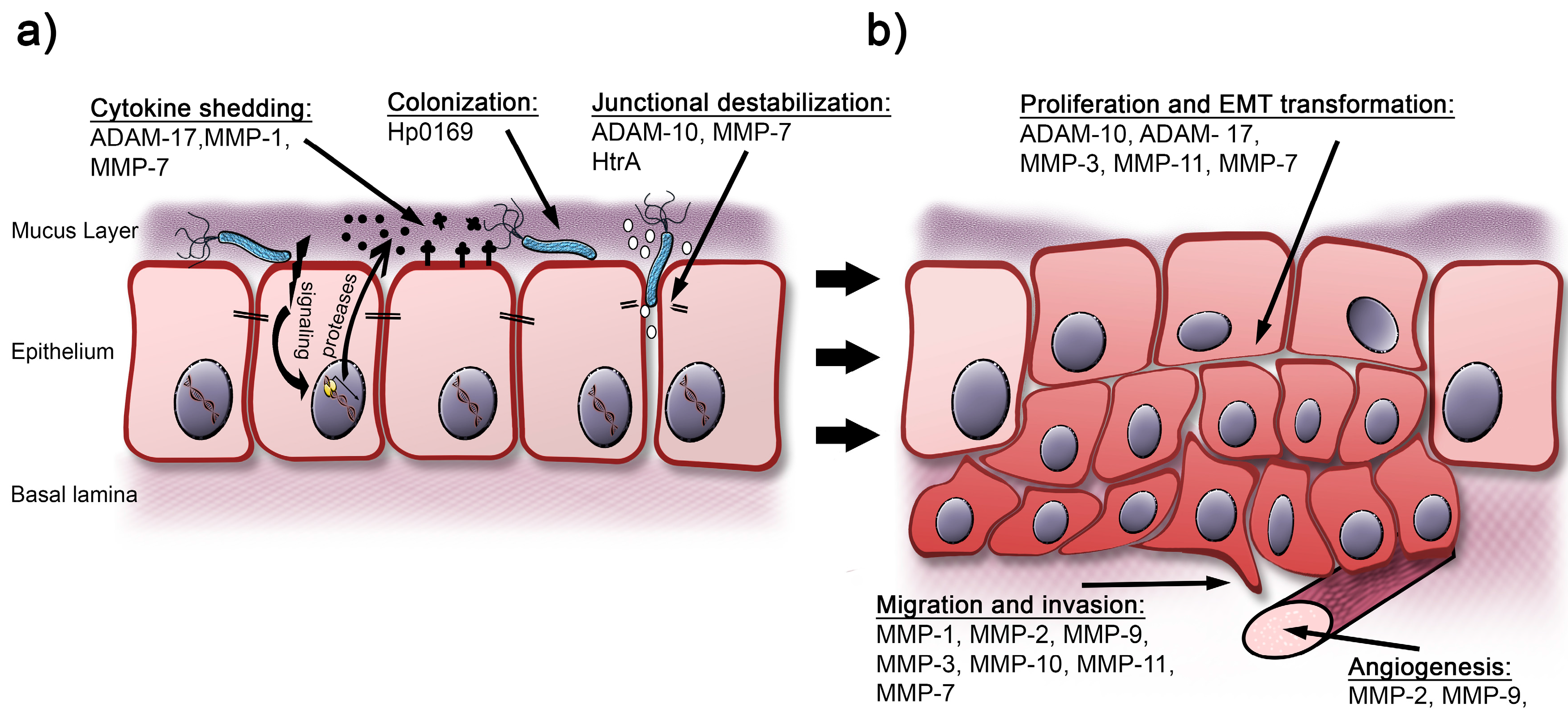 Toxins 09 00134 g001